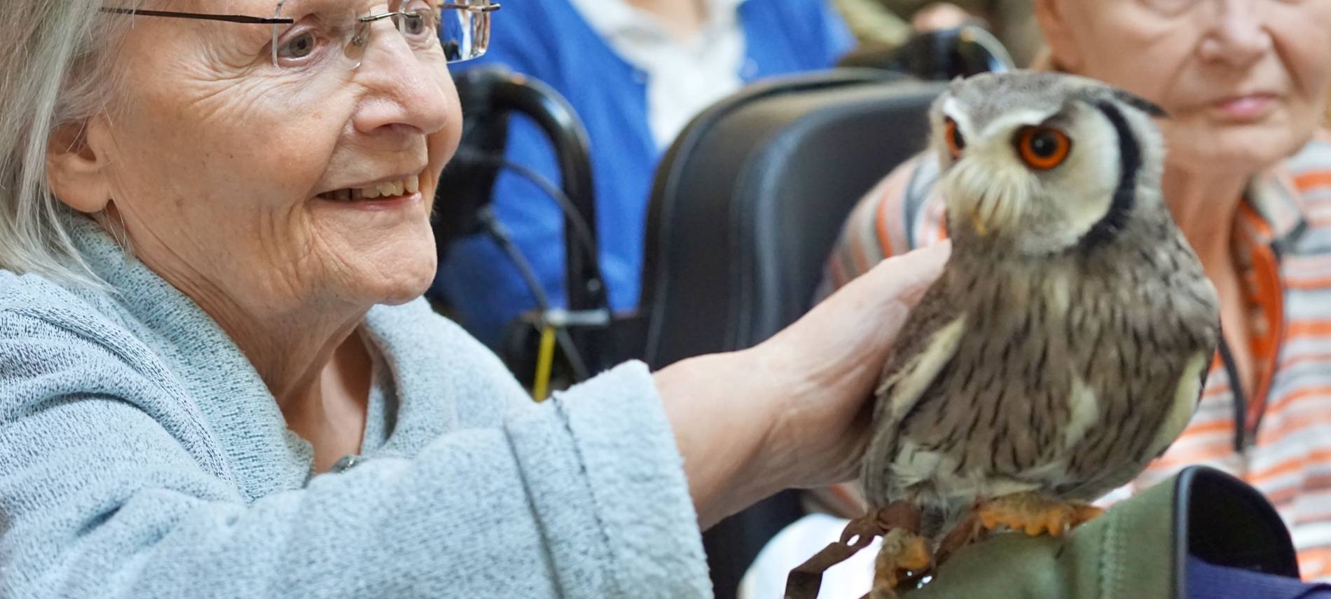 Wenn das Käuzchen kuscheln kommt...