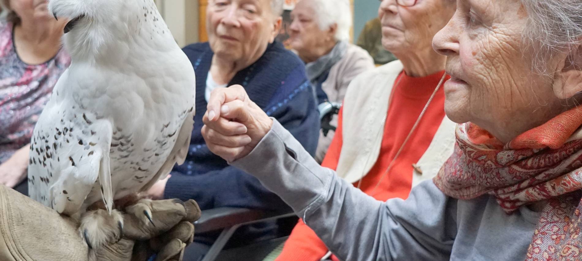 Wenn das Käuzchen kuscheln kommt...