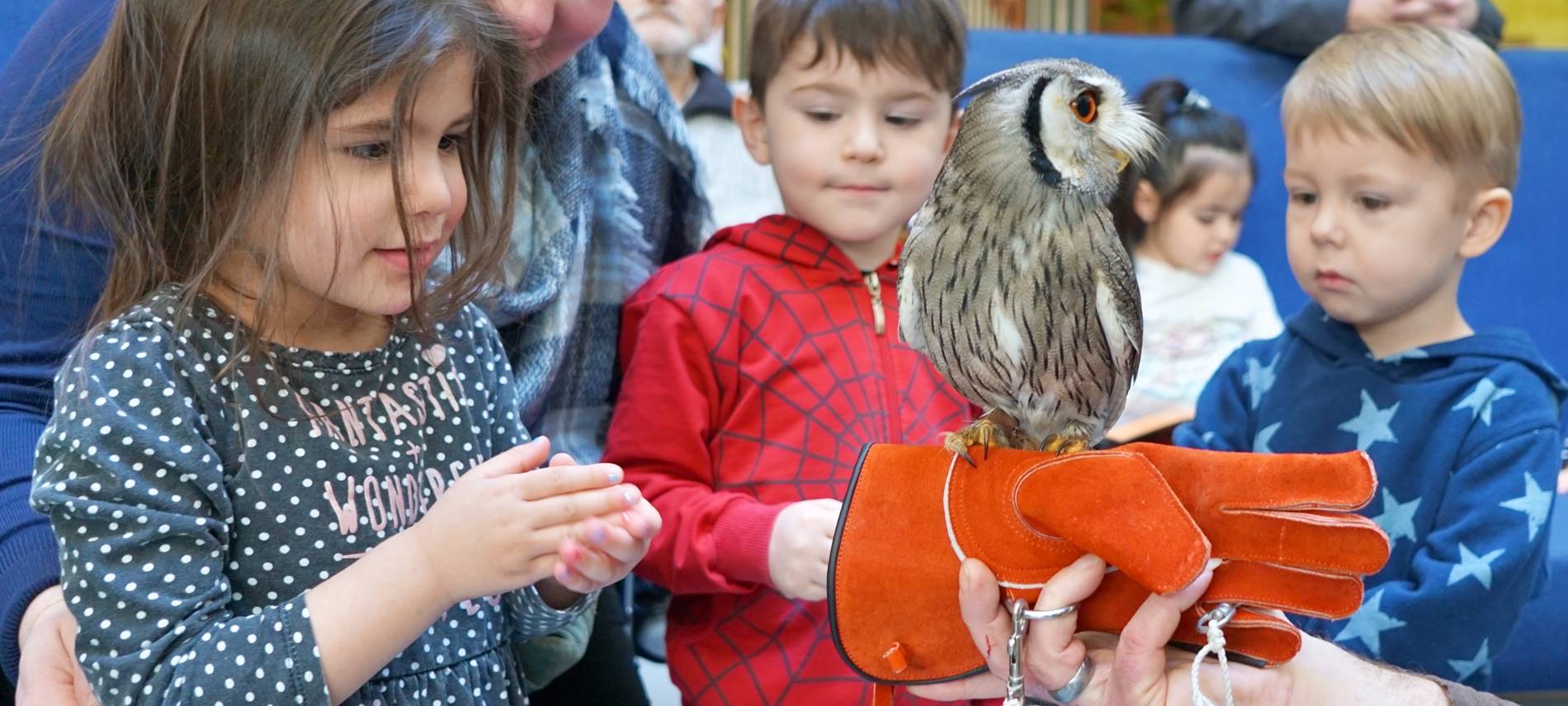 Wenn das Käuzchen kuscheln kommt...