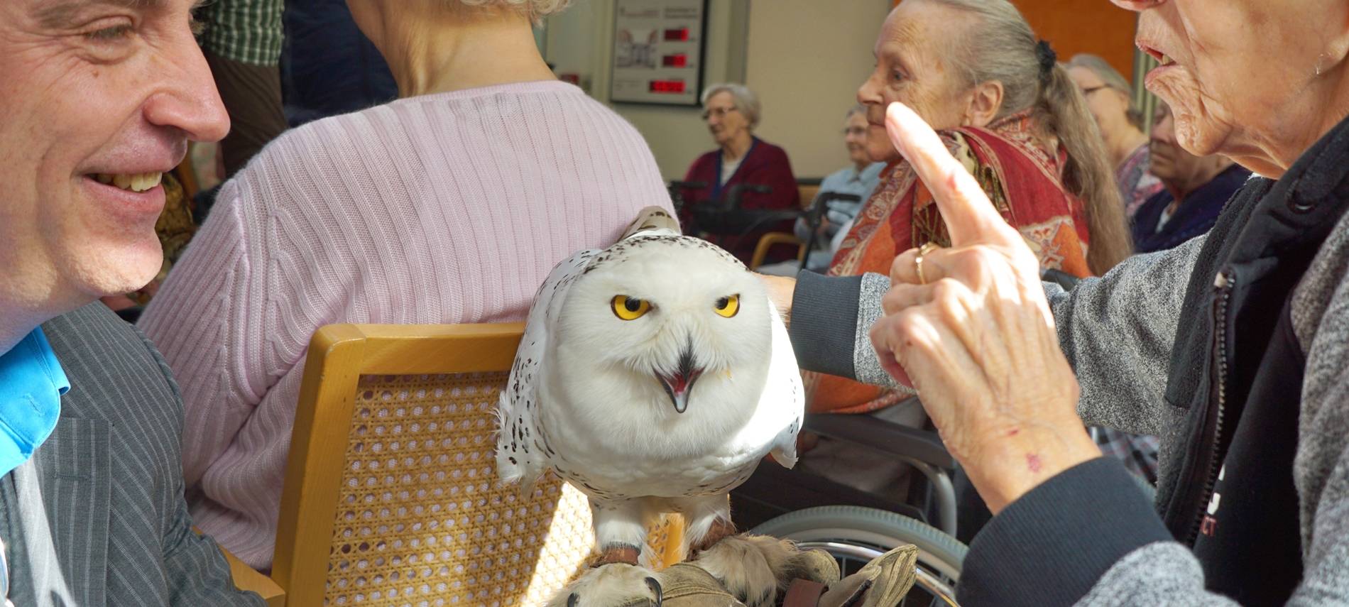 Wenn das Käuzchen kuscheln kommt...