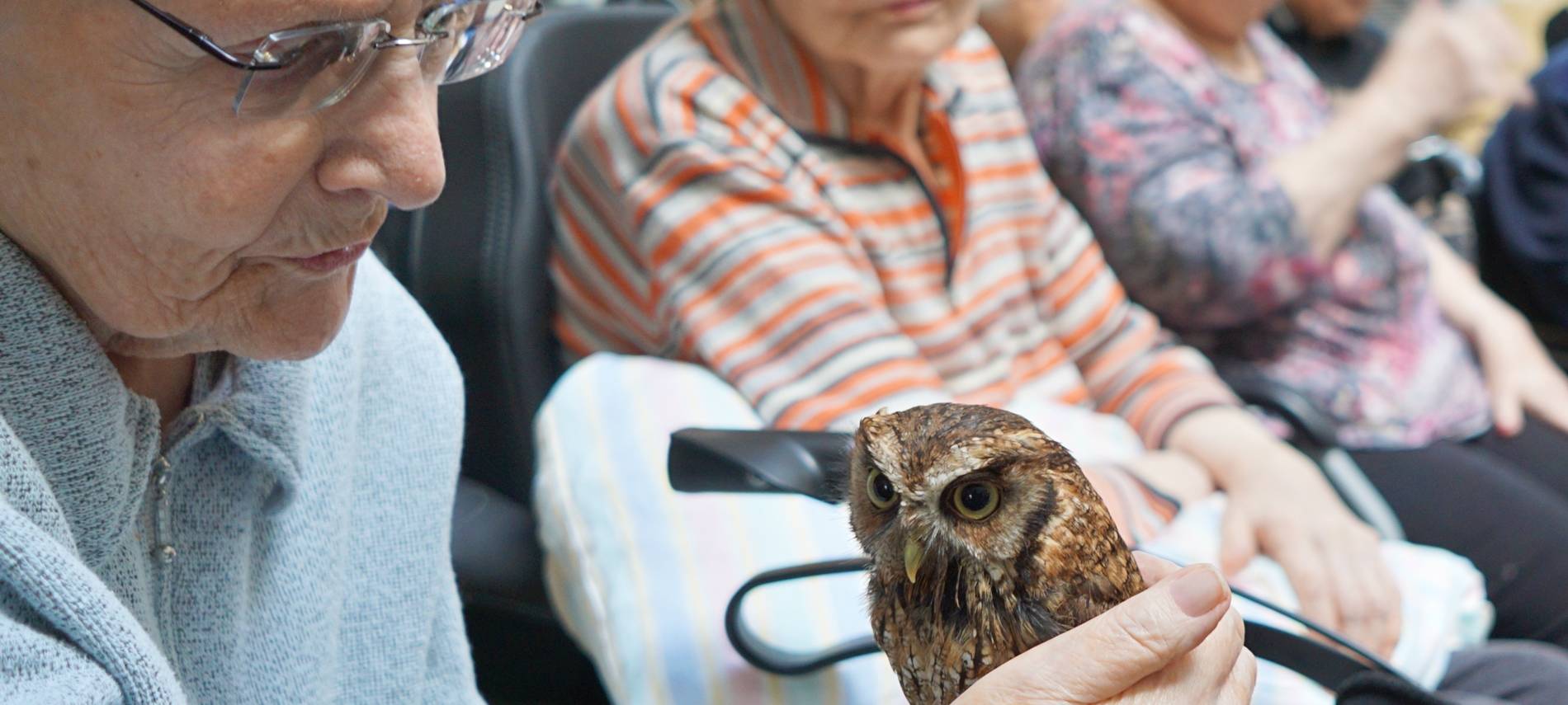 Wenn das Käuzchen kuscheln kommt...