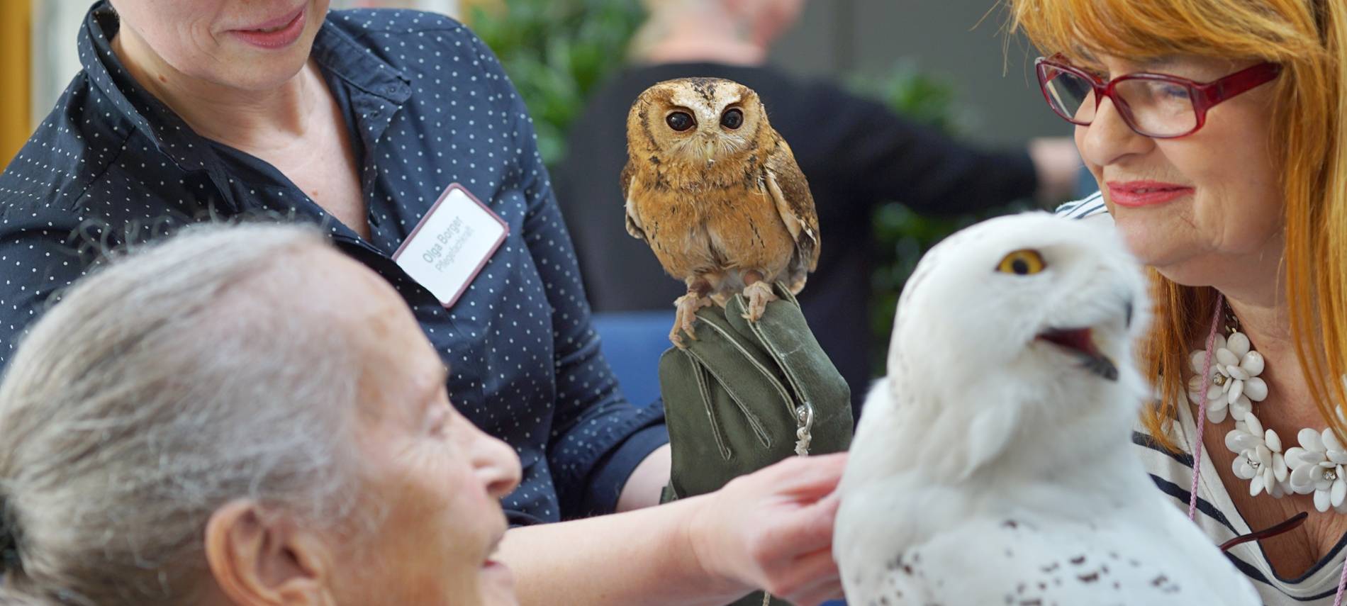Wenn das Käuzchen kuscheln kommt...