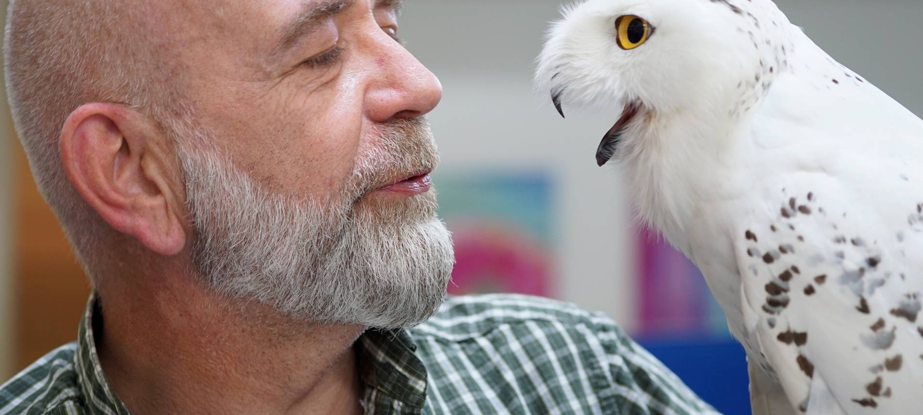 Wenn das Käuzchen kuscheln kommt...