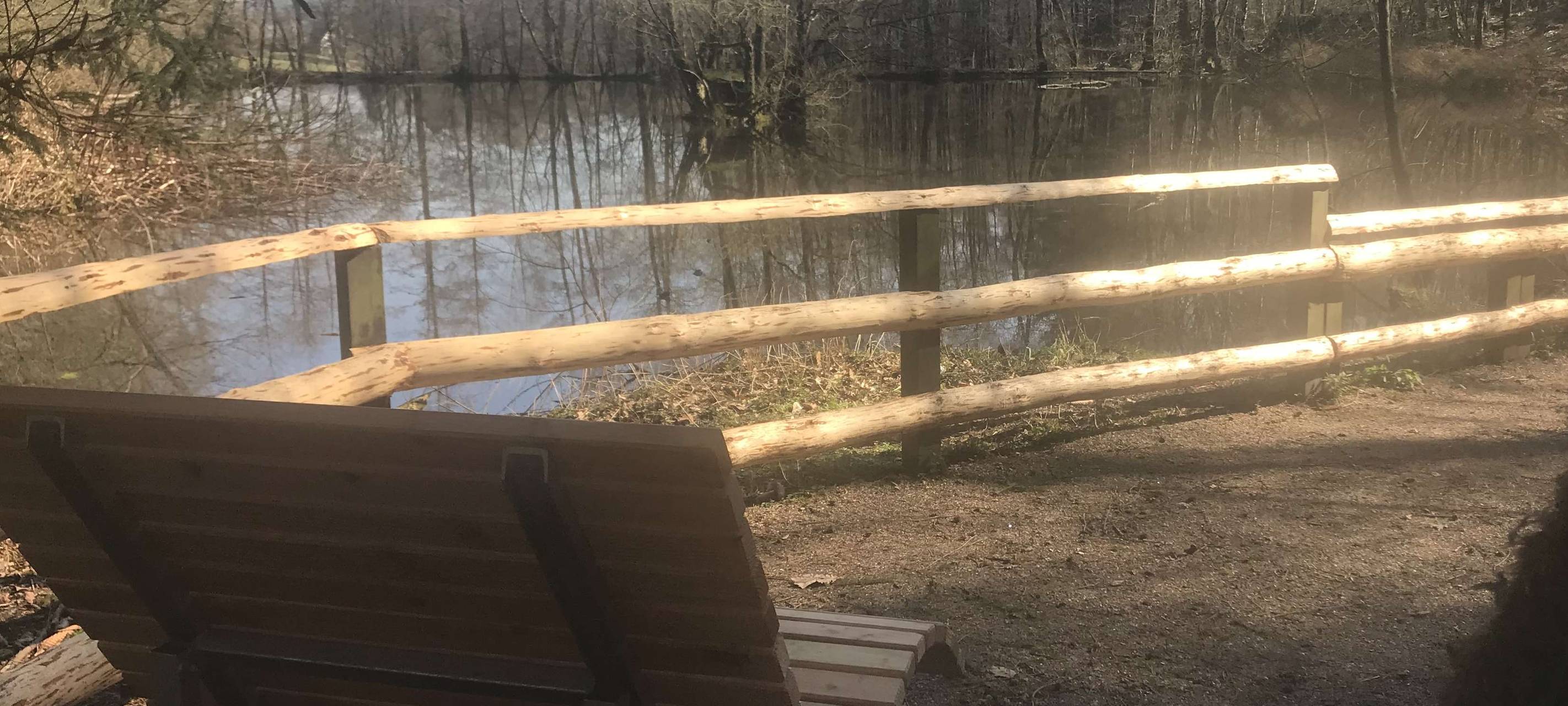 Waldsofa für Menden