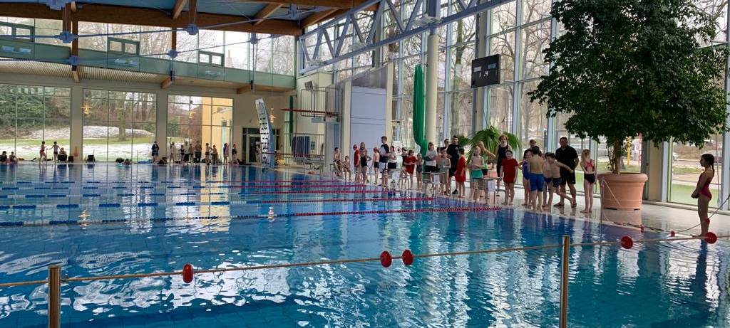 Grundschüler schwimmen in Iserlohn um den Sieg
