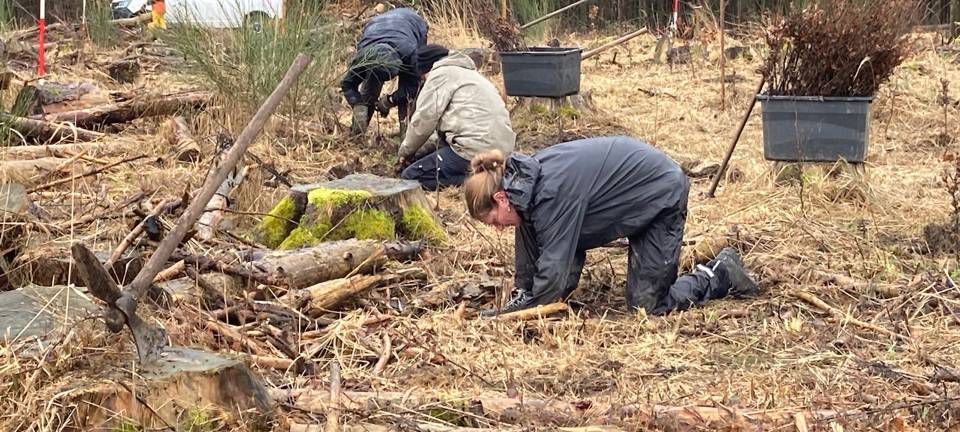 Bergwaldprojekt in Menden und Hemer