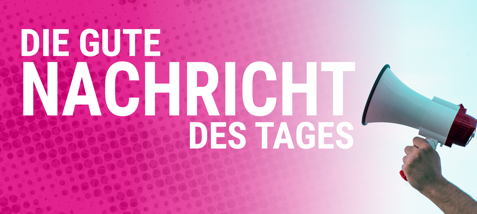 Die Gute Nachricht des Tages