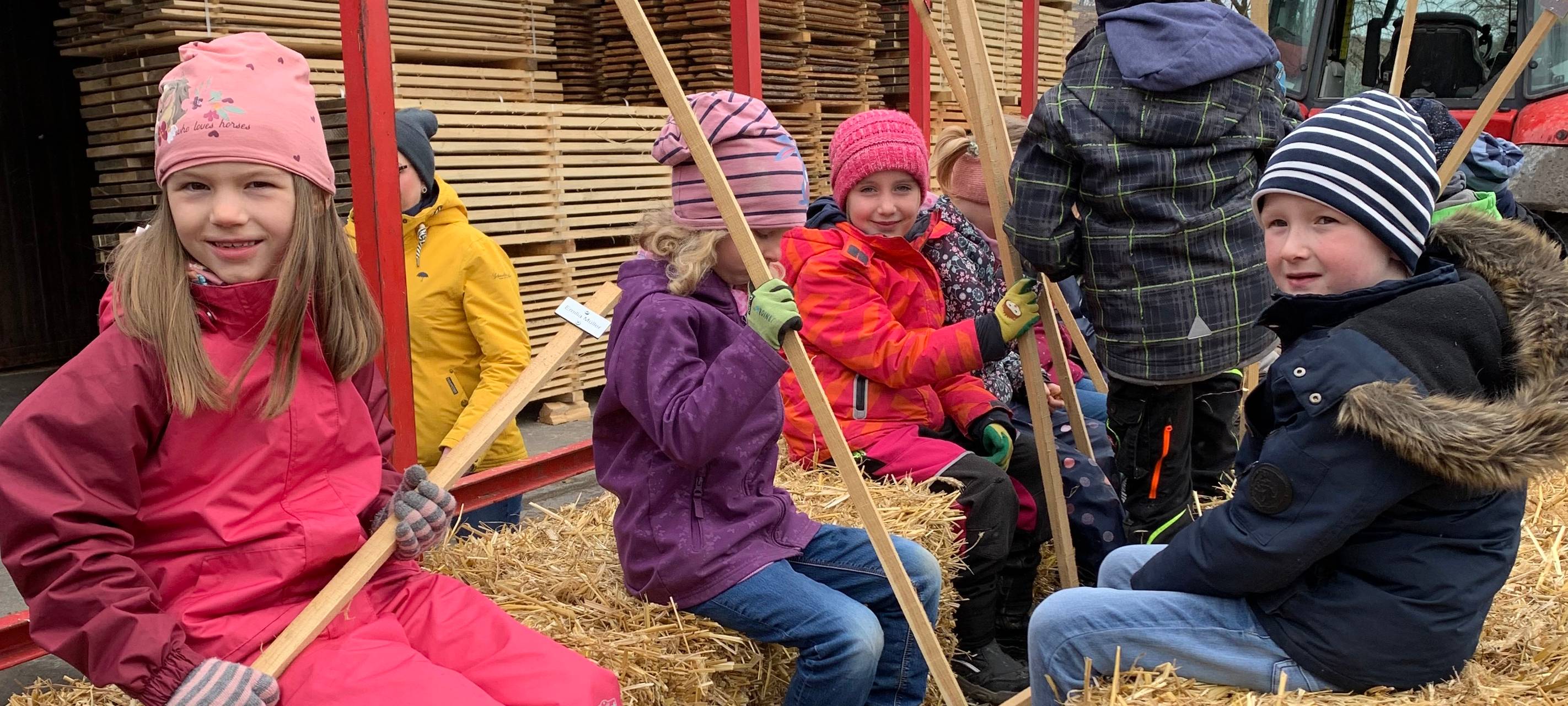 Bäume für Weihnachten 2030