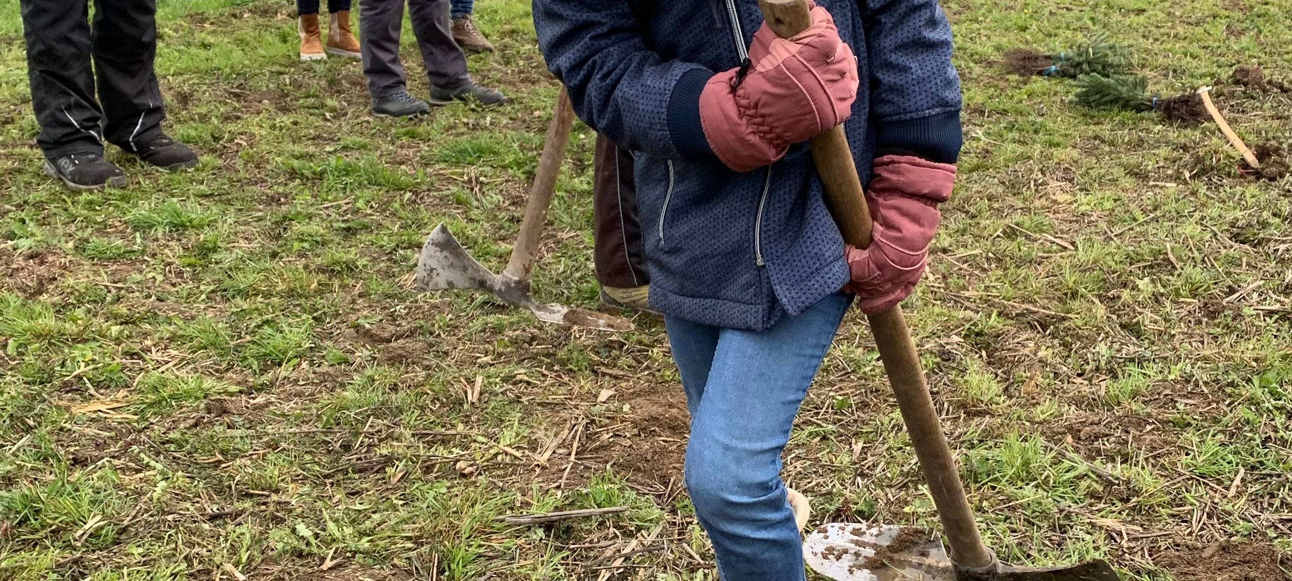 Bäume für Weihnachten 2030