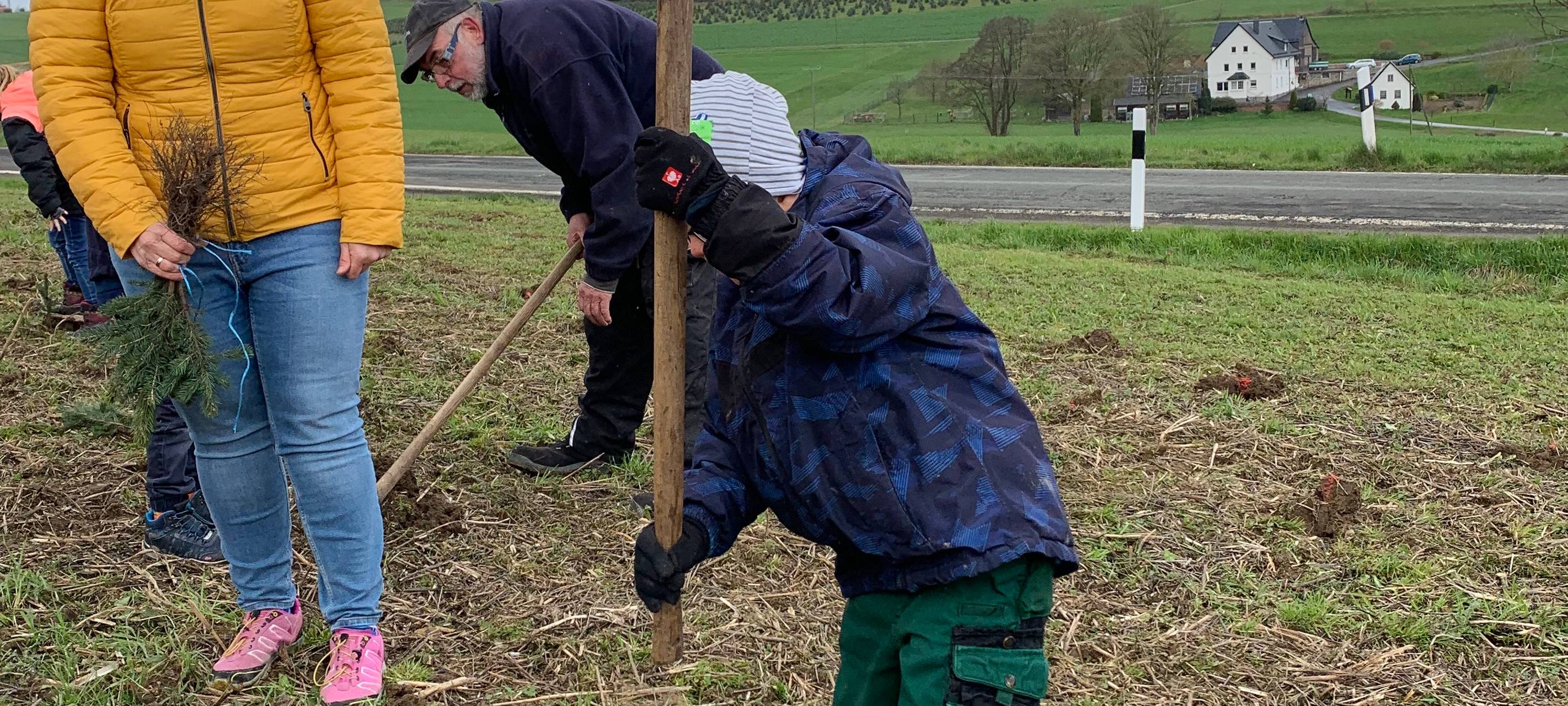 Bäume für Weihnachten 2030