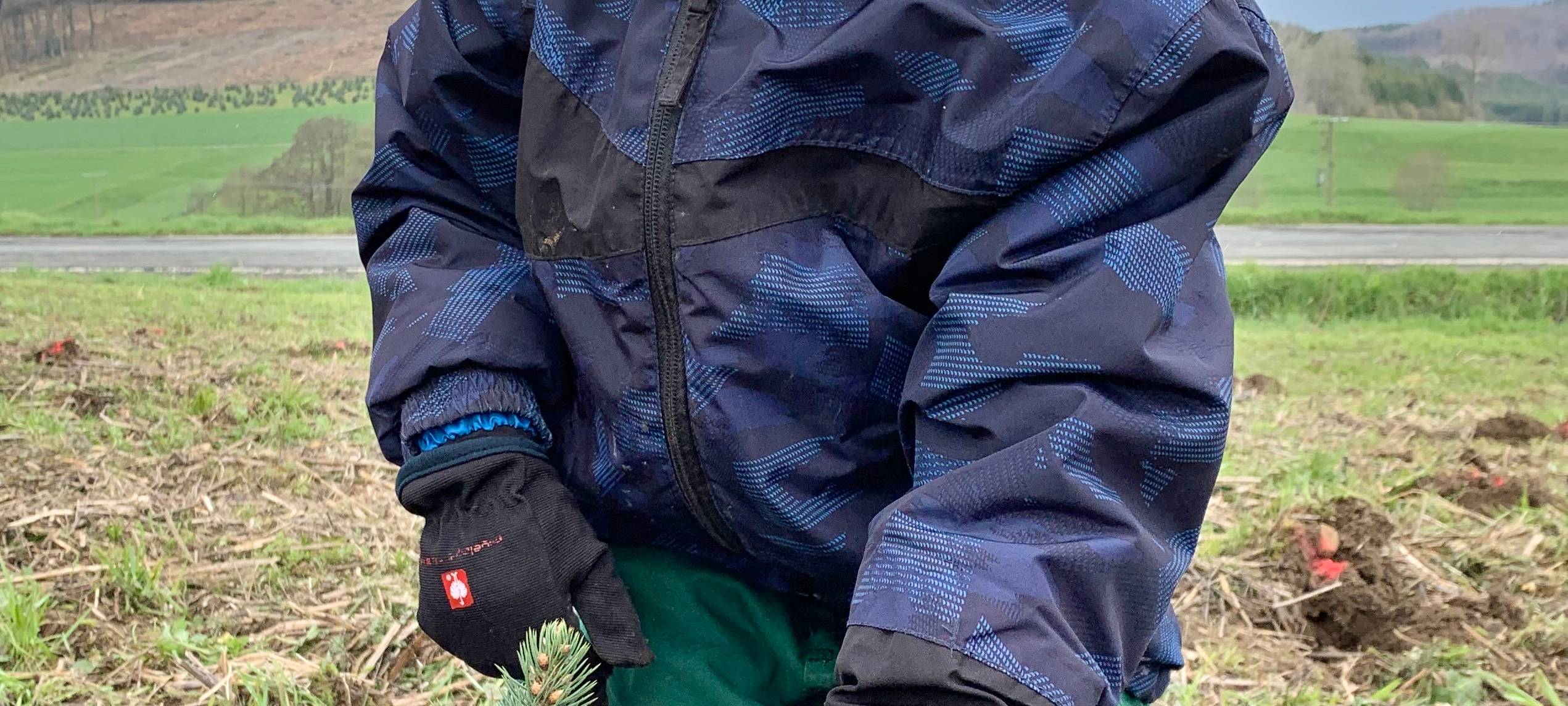 Bäume für Weihnachten 2030