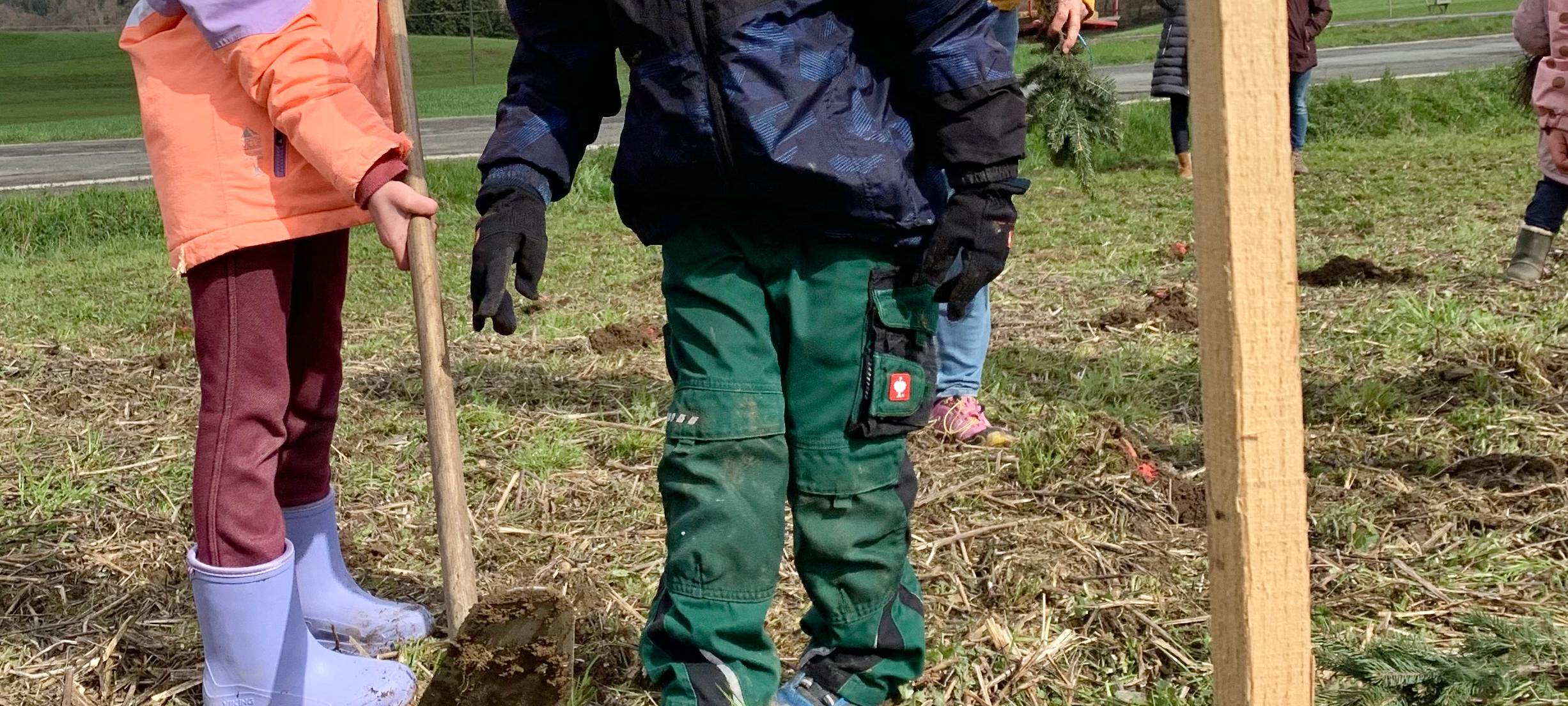 Bäume für Weihnachten 2030