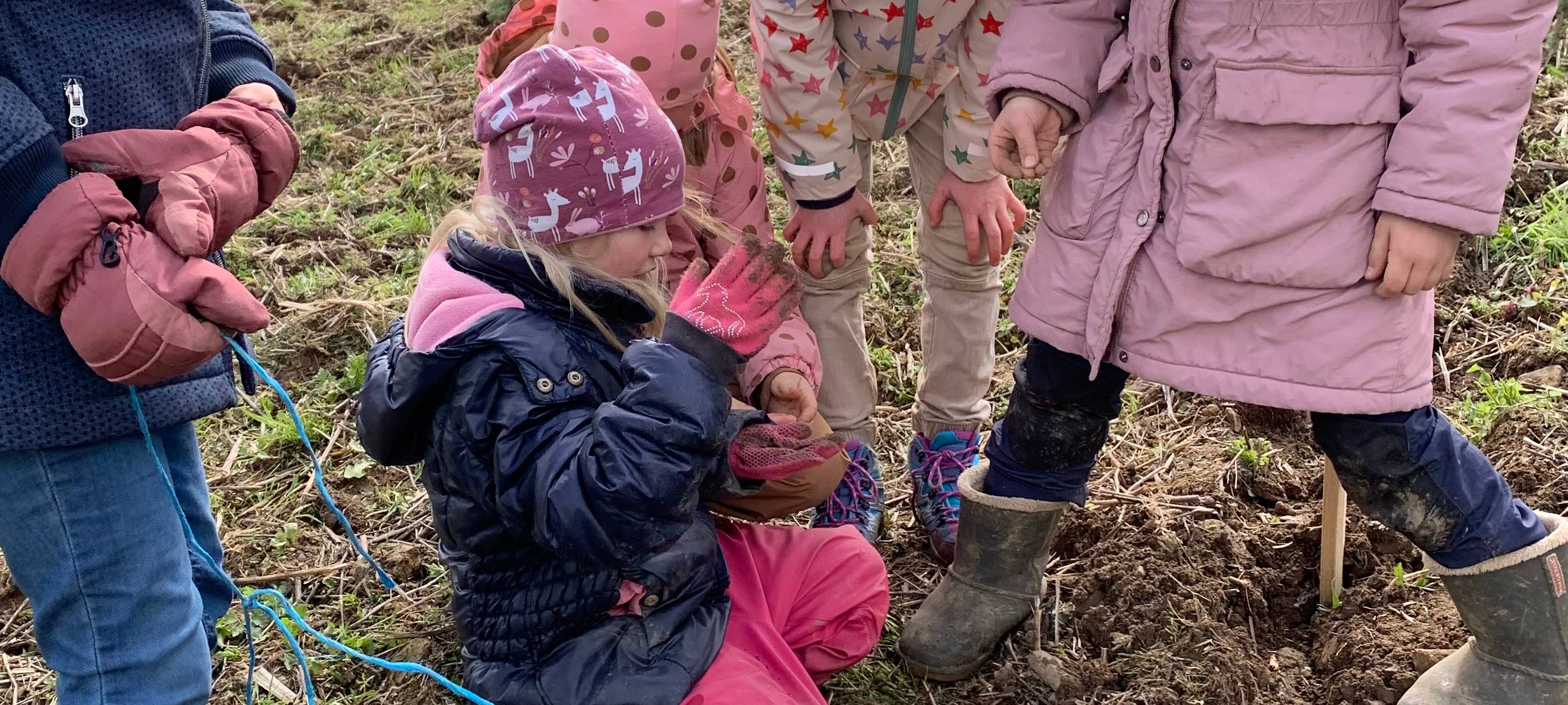 Bäume für Weihnachten 2030