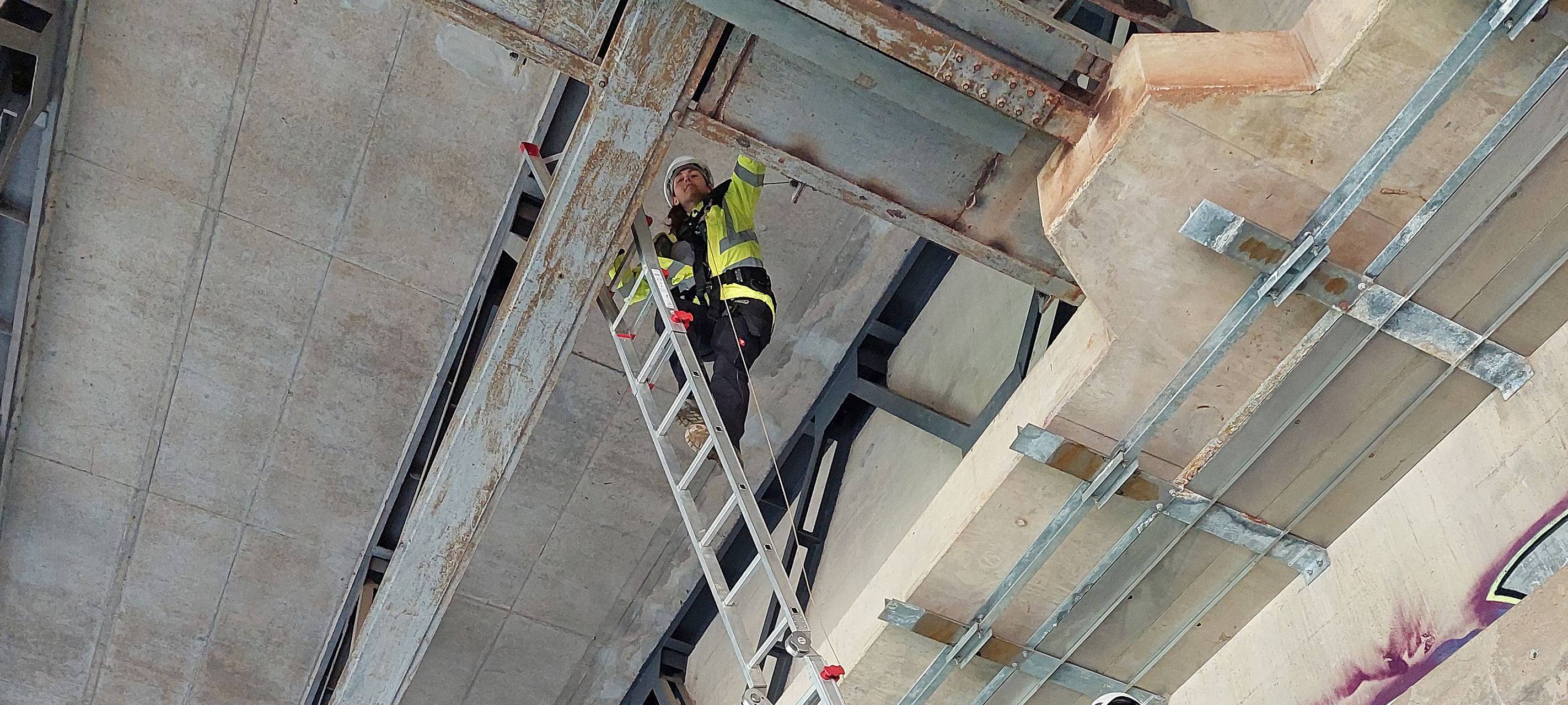 Falken von A45-Brücke bei Lüdenscheid umgesiedelt