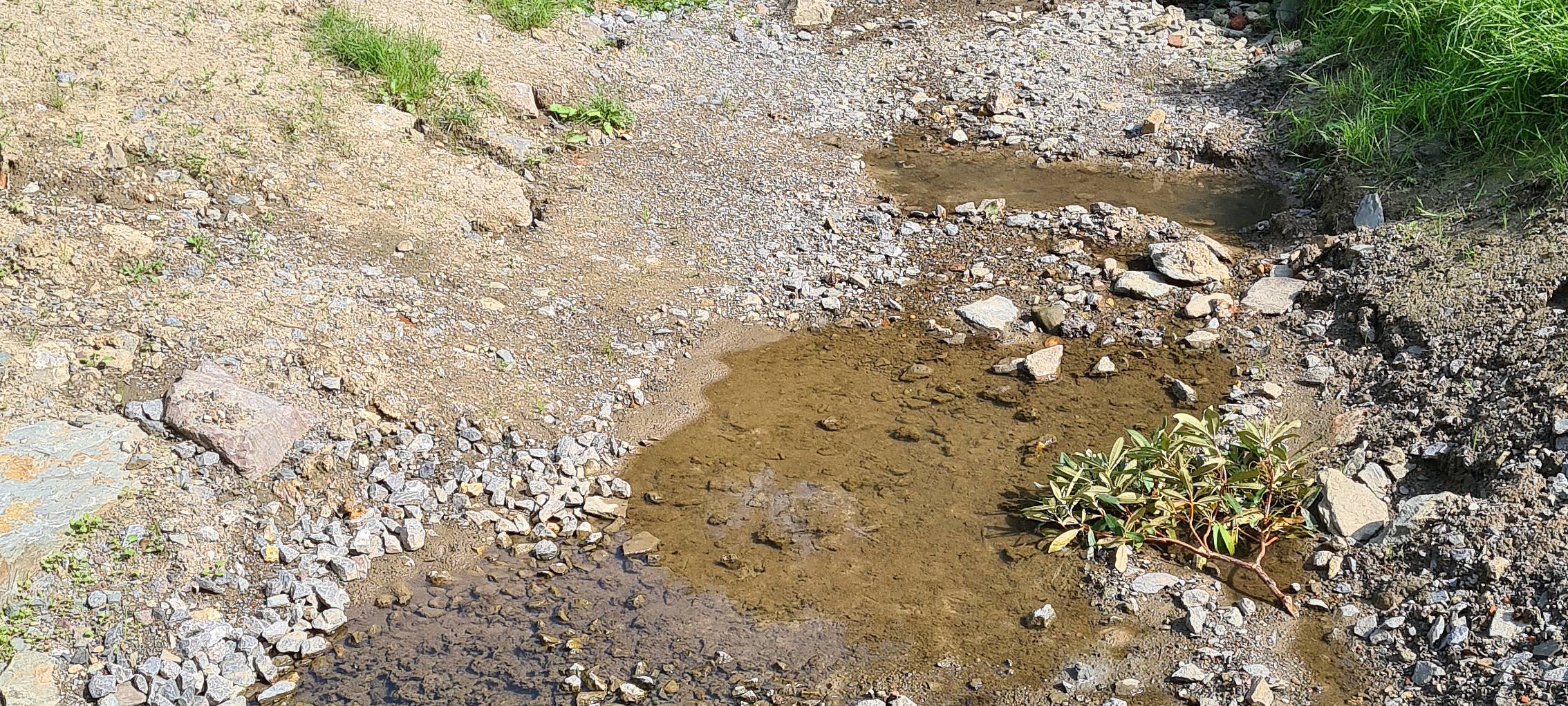 Wasserknappheit im Märkischen Kreis