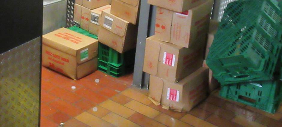 Unerwünschter Besuch zu früher Stunde