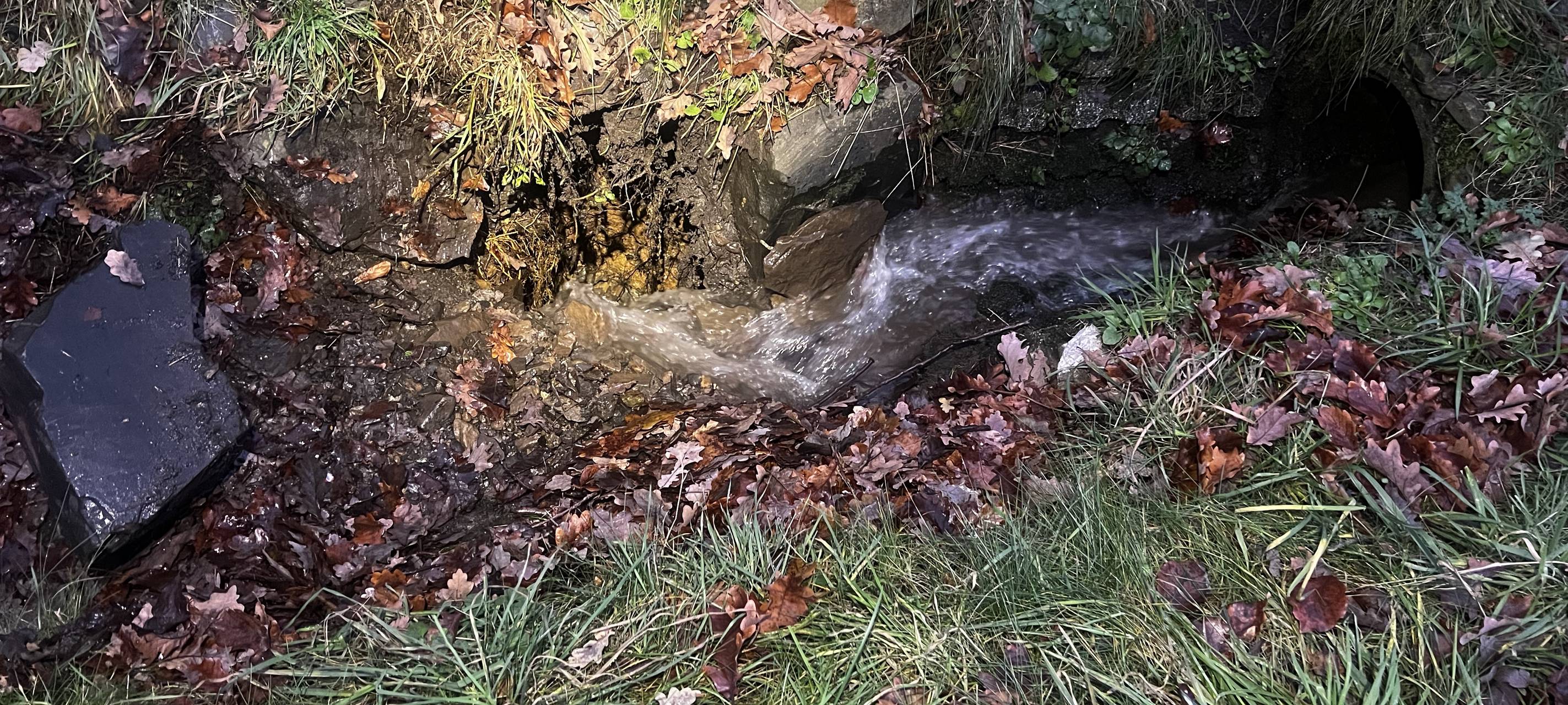 Neue Höhle in Hemer Brockhausen entdeckt