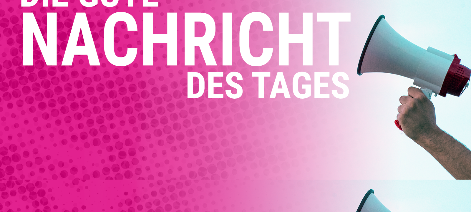 Die gute Nachricht des Tages - Rückblick August