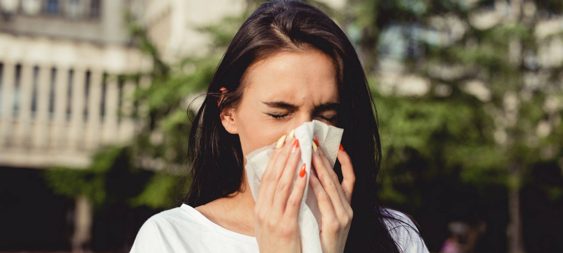 Ambrosia-Pflanze breitet sich im Märkischen Kreis aus