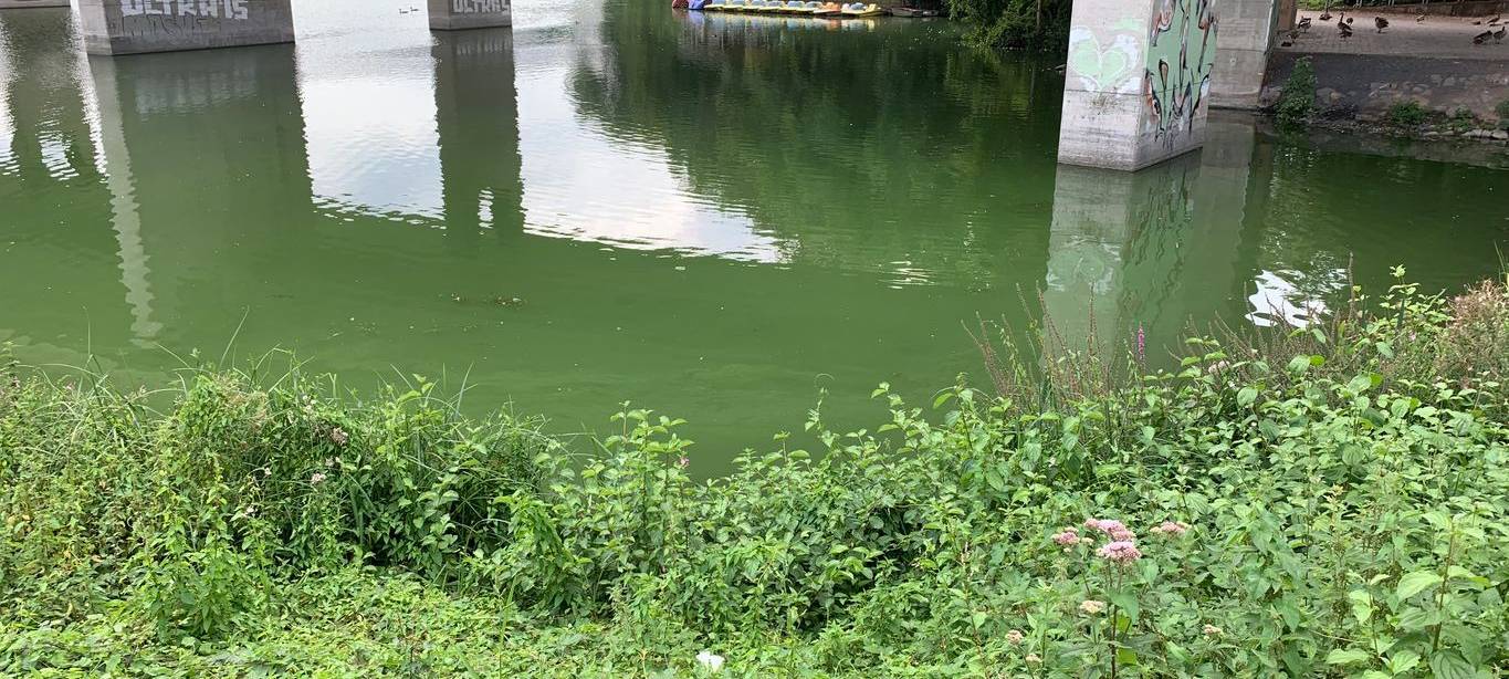 Keine Entwarnung in Iserlohn: Immer noch Blaualgen im Seilersee