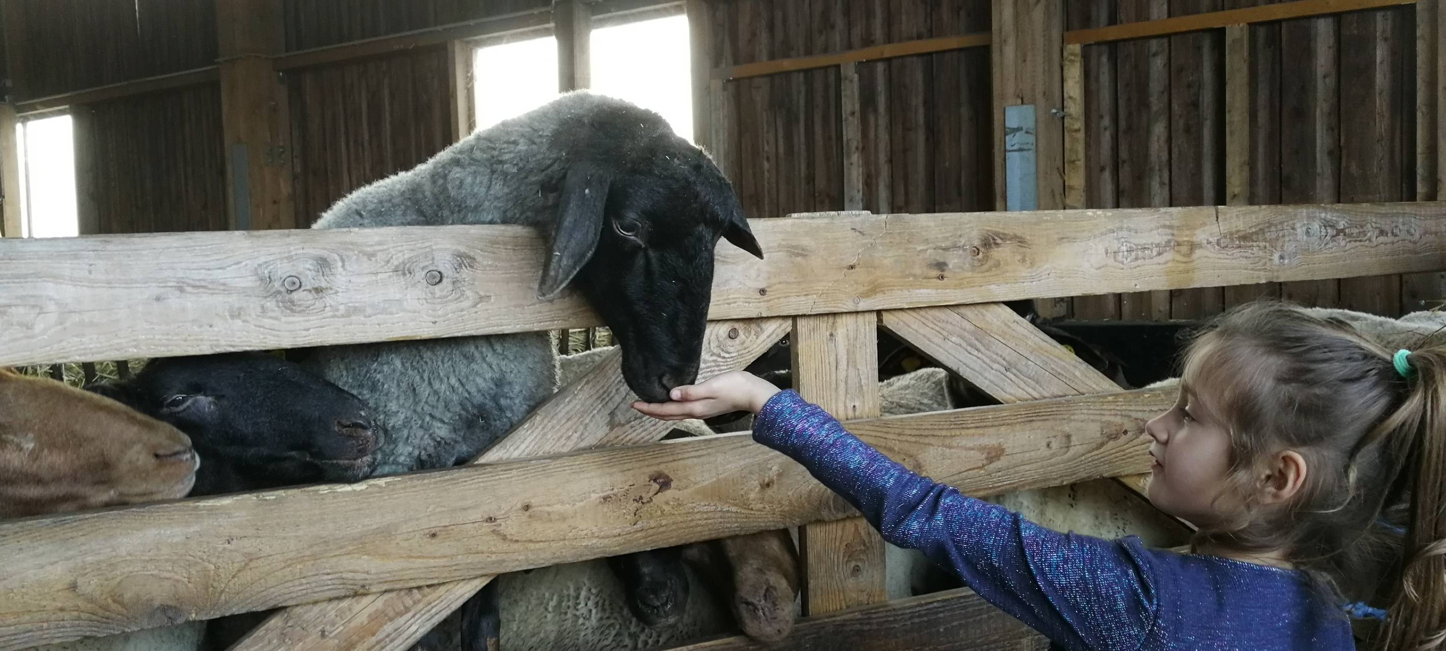 8. Lammtag in Iserlohn