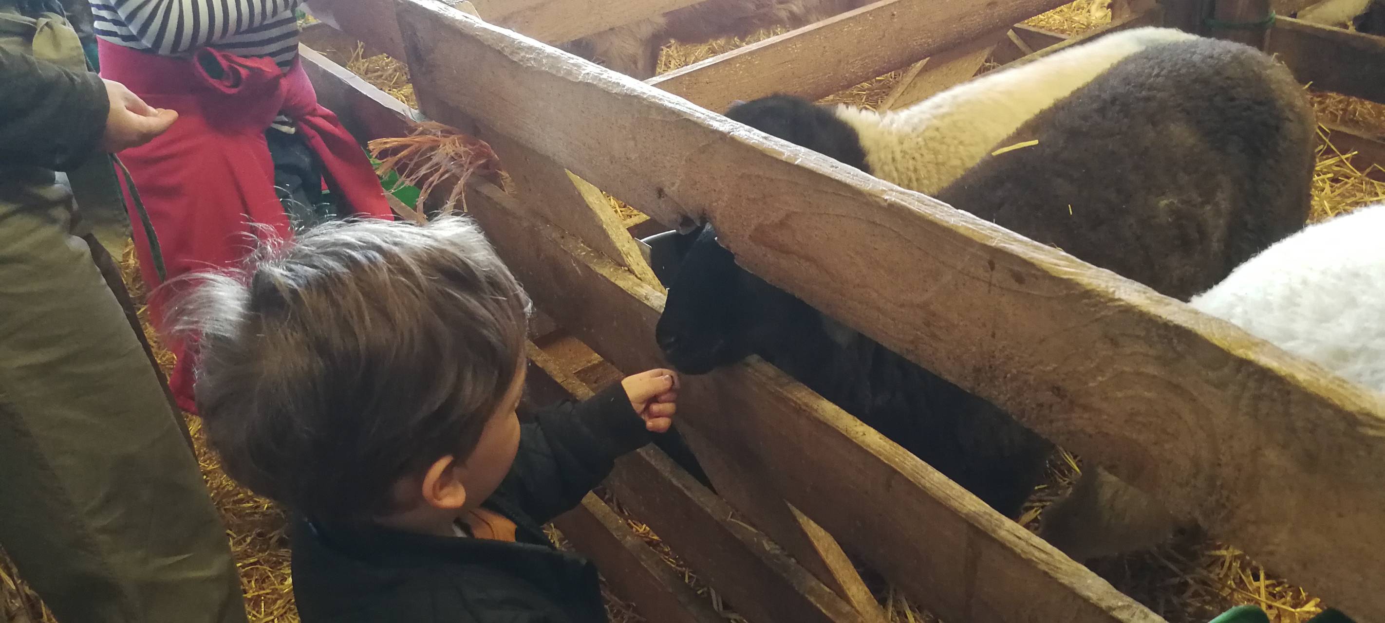 8. Lammtag in Iserlohn