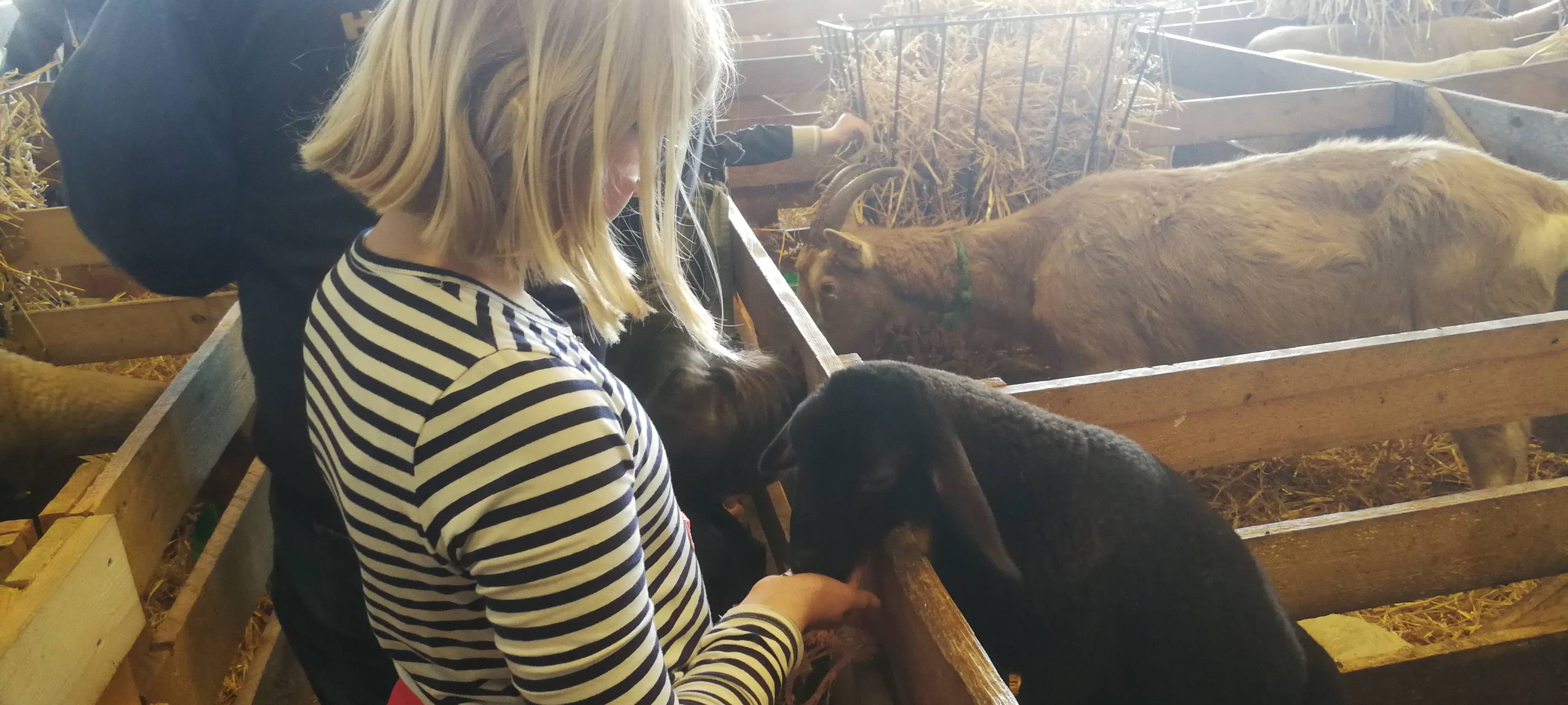 8. Lammtag in Iserlohn