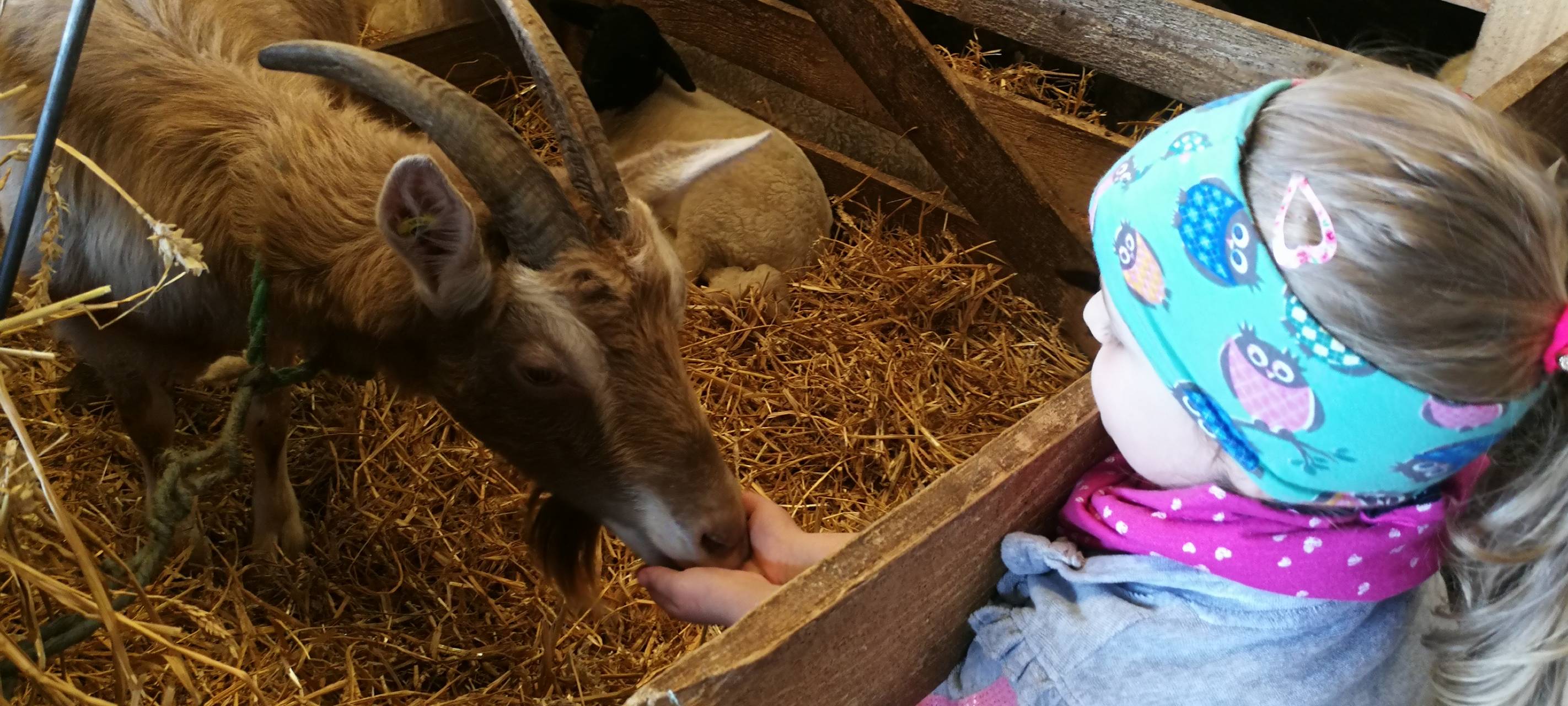 8. Lammtag in Iserlohn