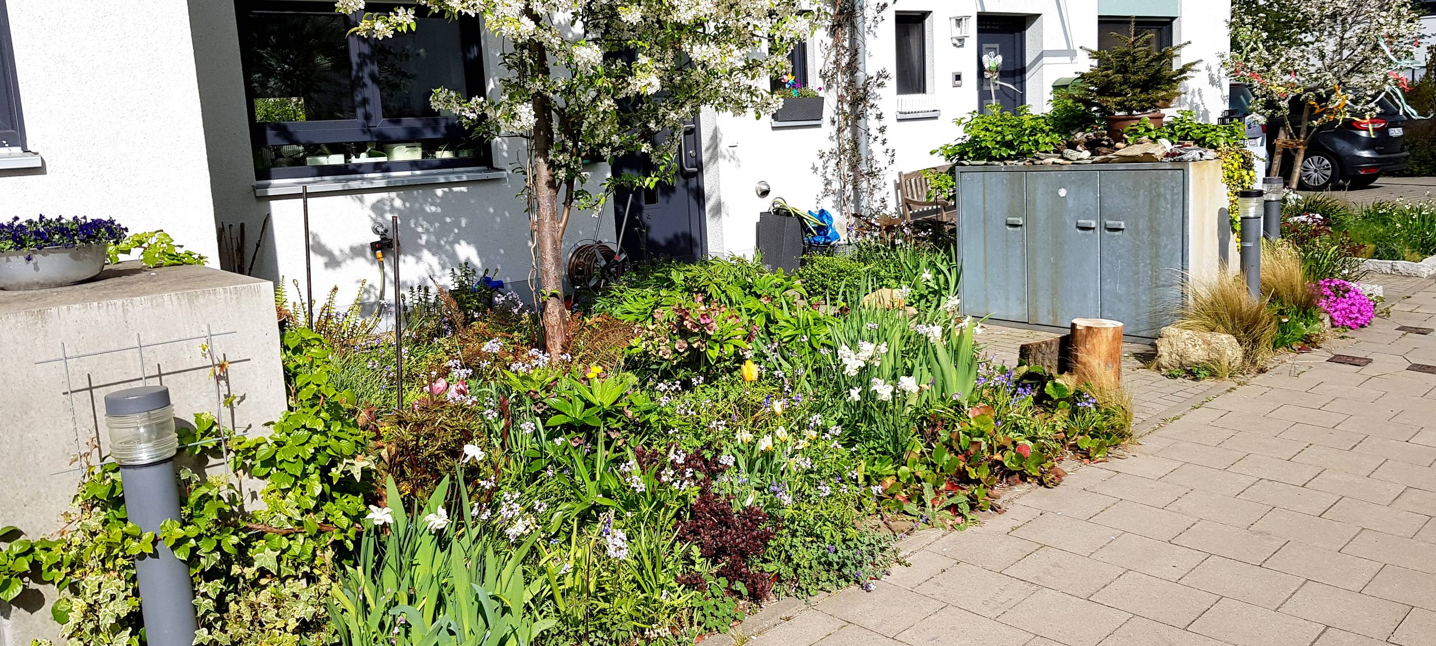 Klimafolgenspaziergang in Lüdenscheid