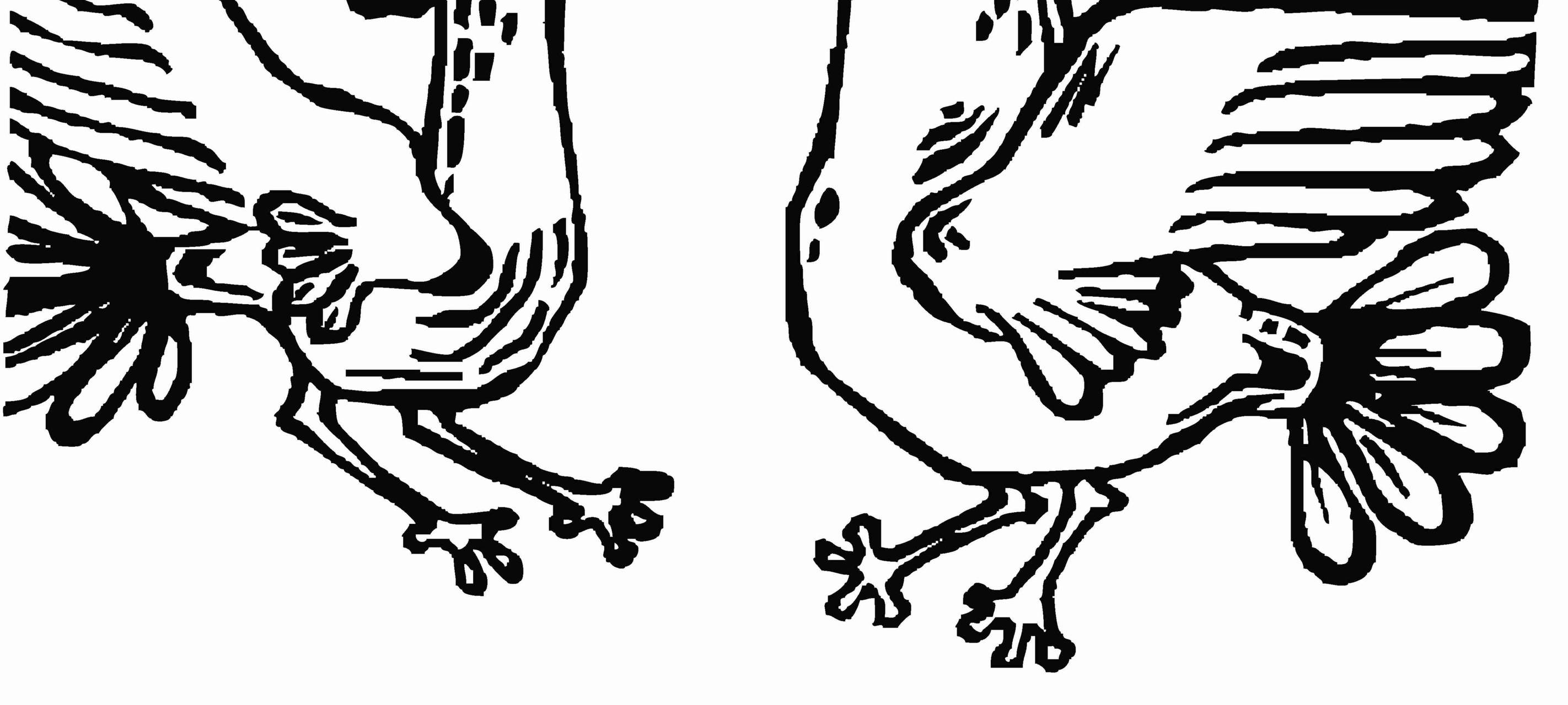 DAS BRETTKEN AM DRÖGEN PÜTT – „HALBPENSION MIT LEICHE„