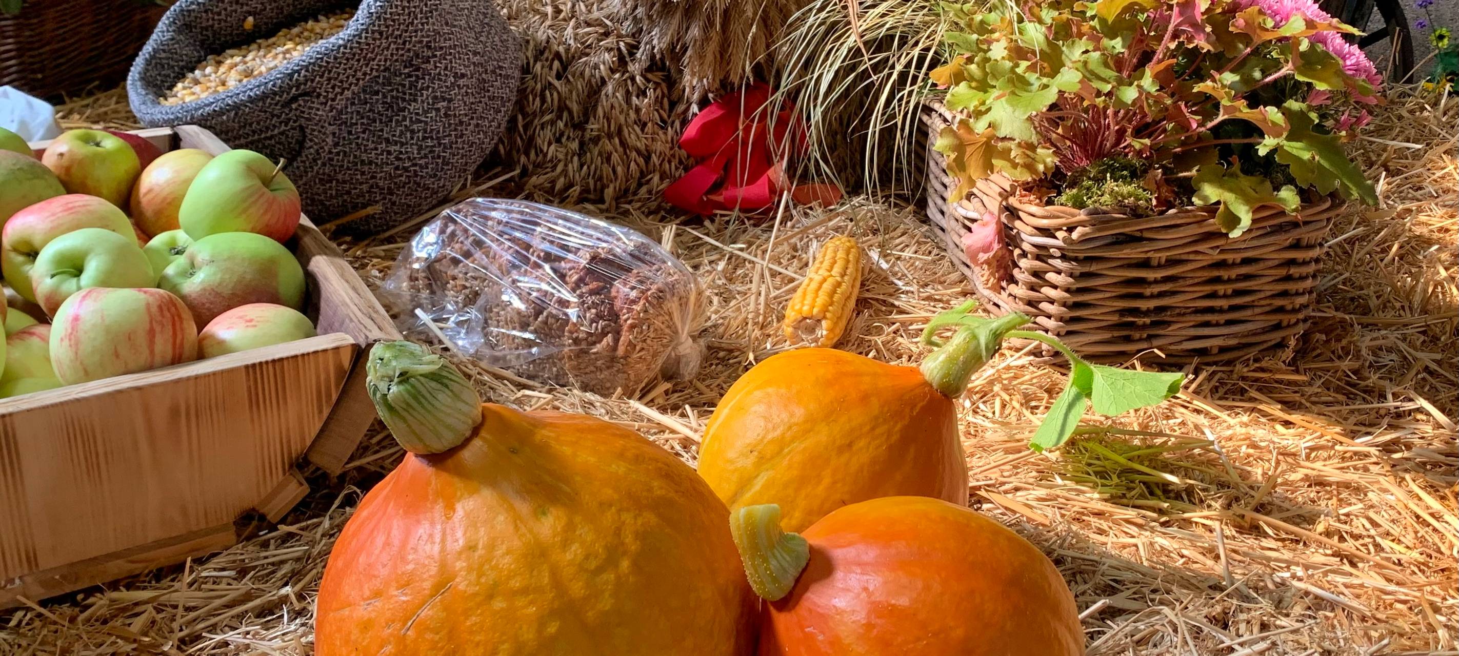 Erntebilanz im Märkischen Kreis 2023: Herausforderungen und Hoffnung