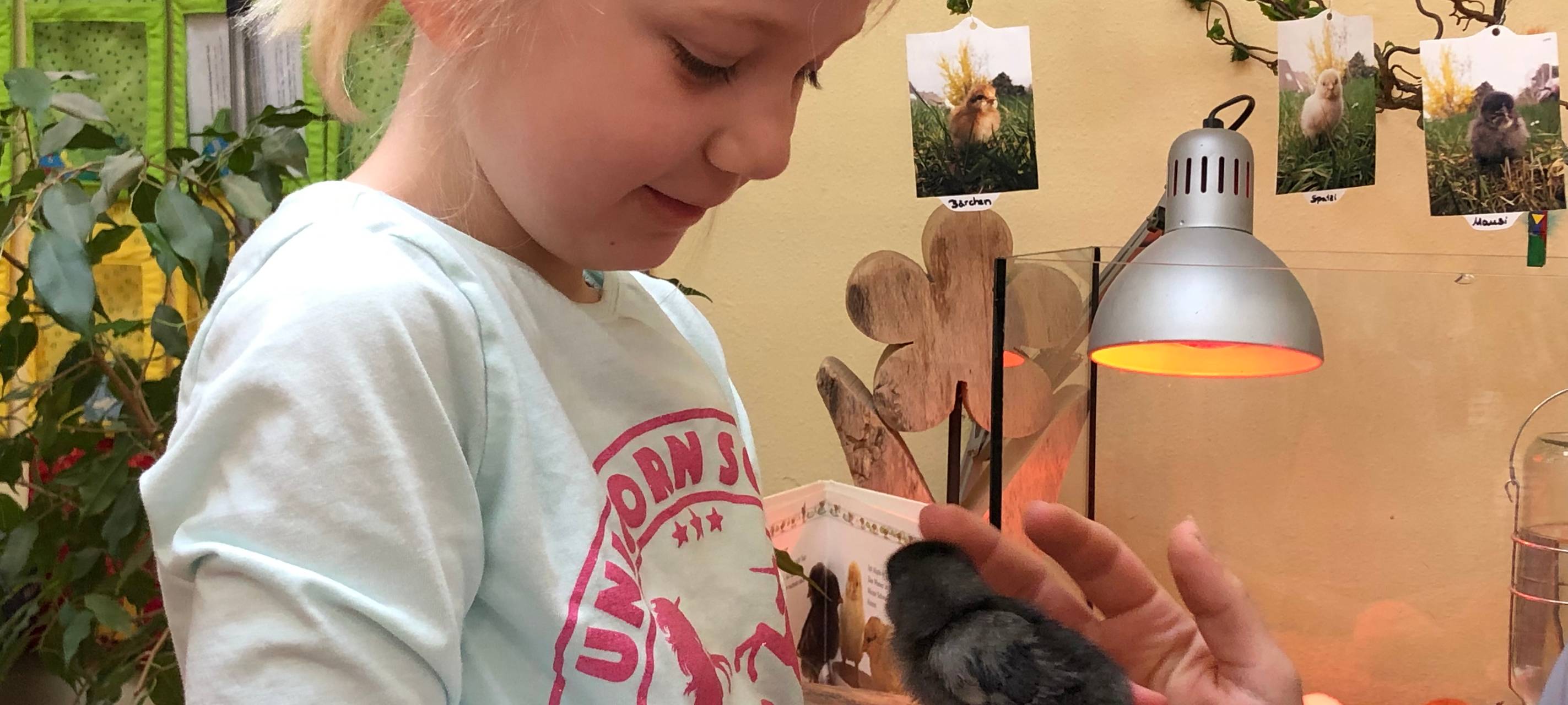 Küken zu Besuch in der Kita Abenteuerland Iserlohn