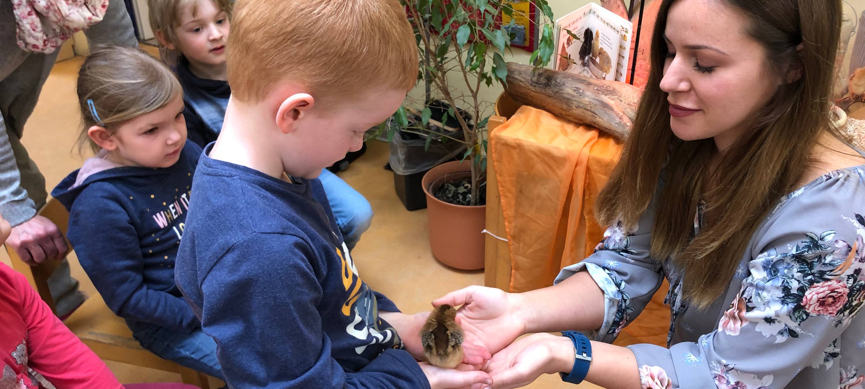 Küken zu Besuch in der Kita Abenteuerland Iserlohn