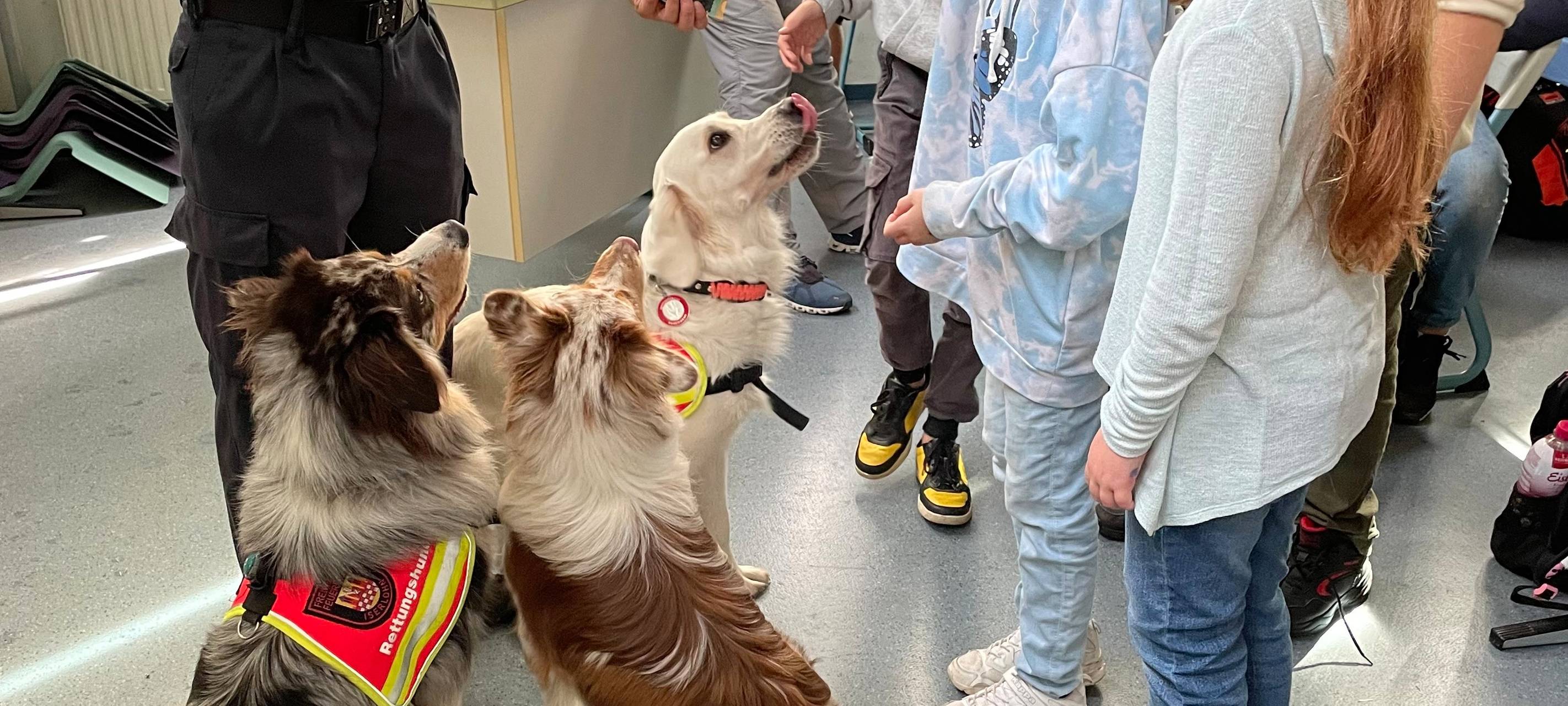 Flauschige Gäste an der Europaschule in Hemer