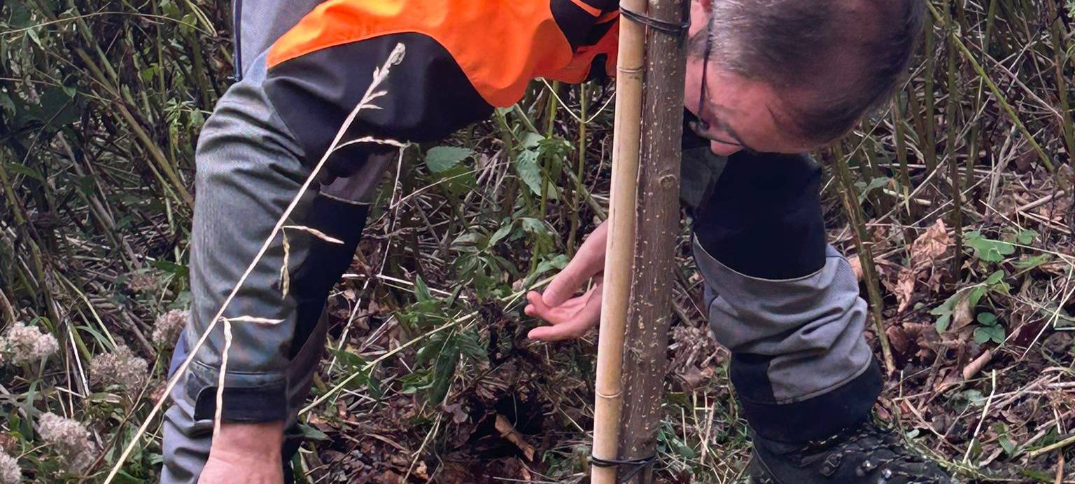 Die gute Nachricht des Tages - Rückblick Oktober