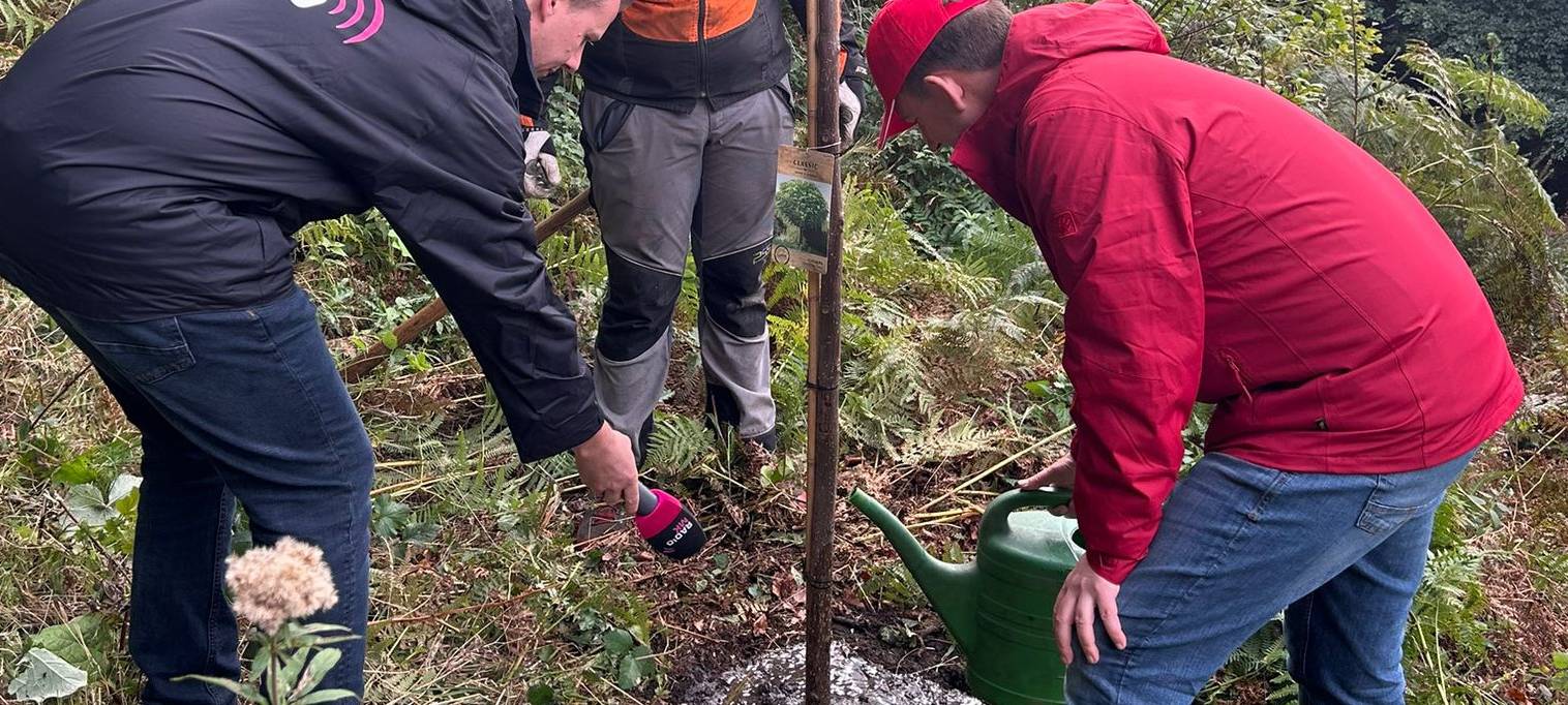 Die gute Nachricht des Tages - Rückblick Oktober