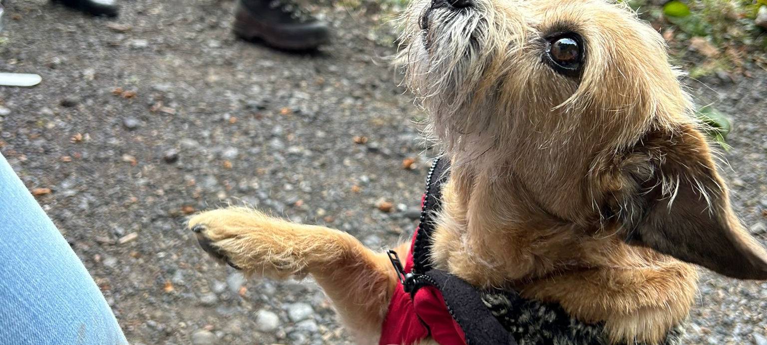 Die gute Nachricht des Tages - Rückblick Oktober