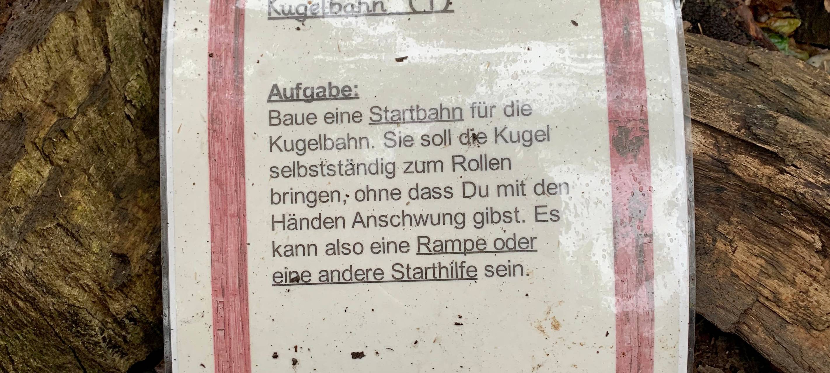 Die gute Nachricht des Tages - Rückblick Oktober