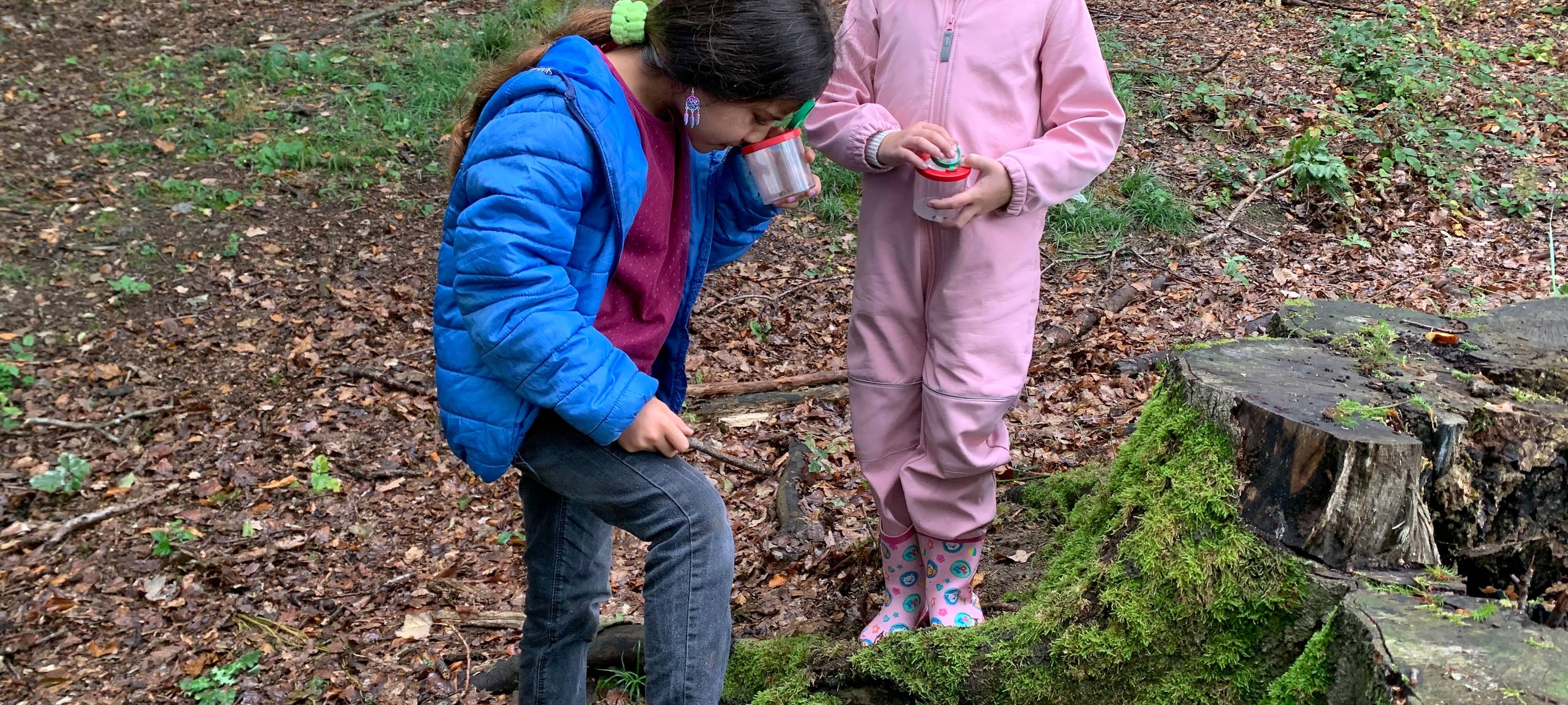 Die gute Nachricht des Tages - Rückblick Oktober