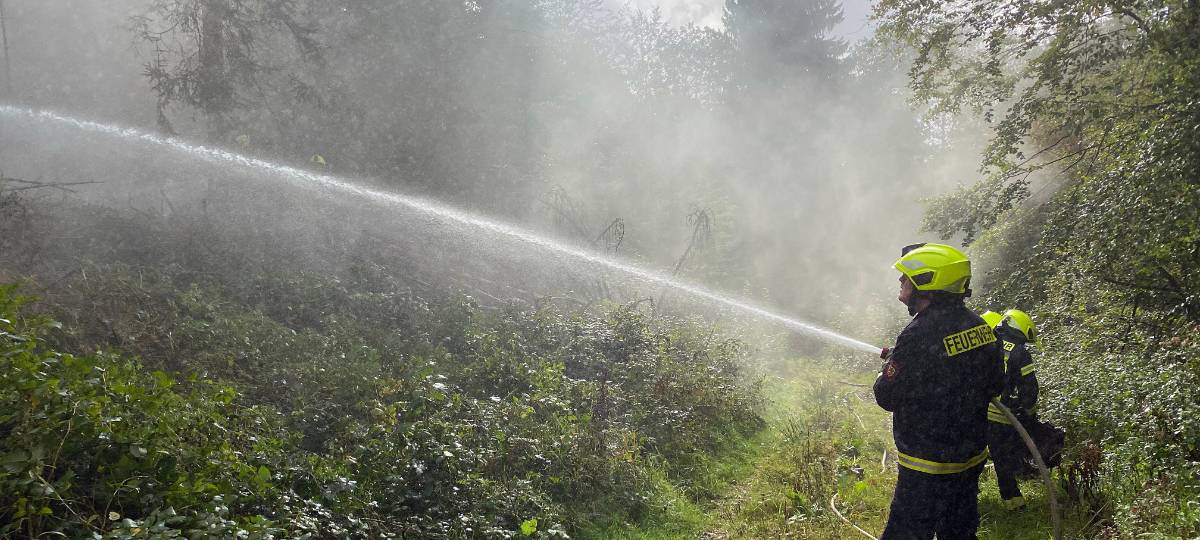 Erfolgreiche Waldbrandübung bei Meinerzhagen
