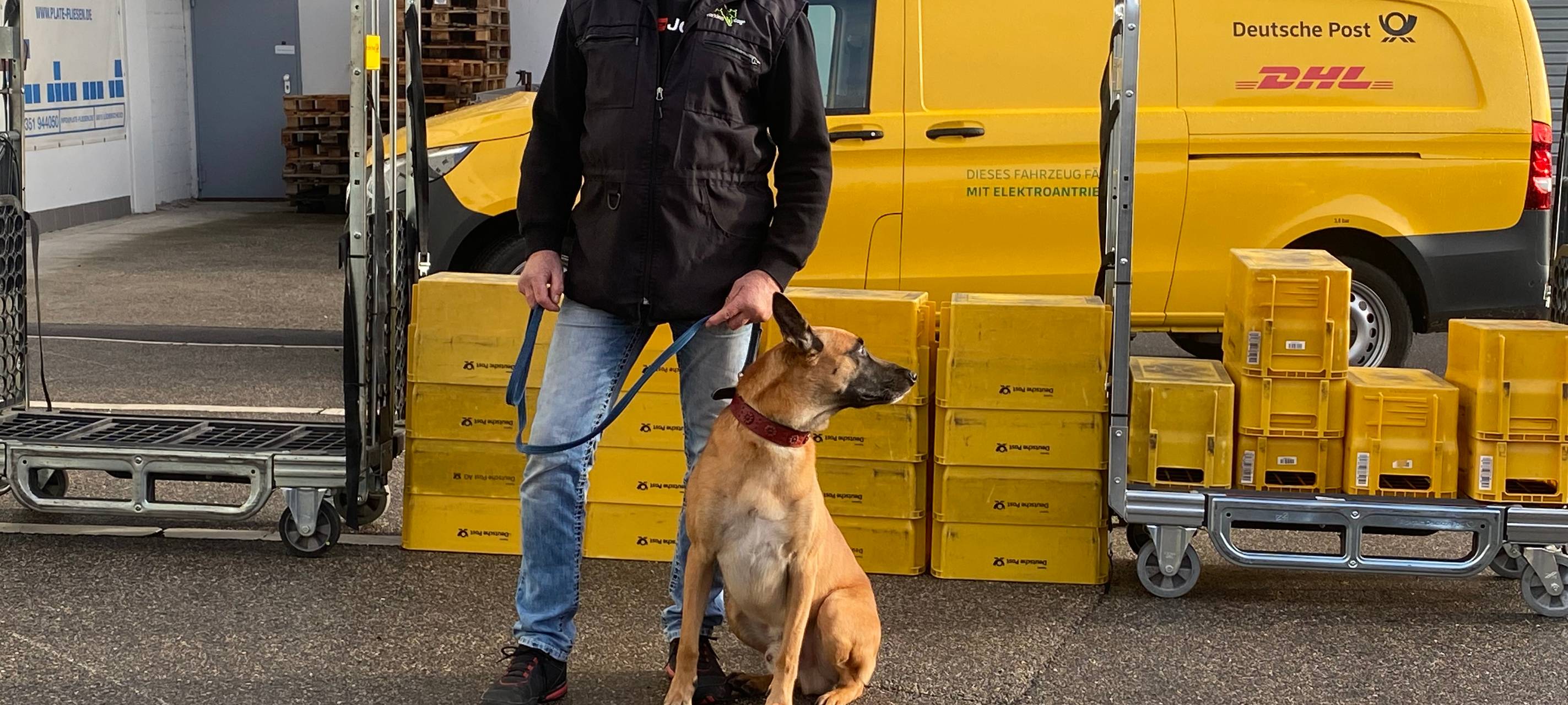 Hundebisse bei Postboten: Deutsche Post schult Zusteller in Lüdenscheid