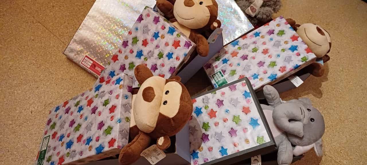 Die gute Nachricht des Tages - Rückblick November