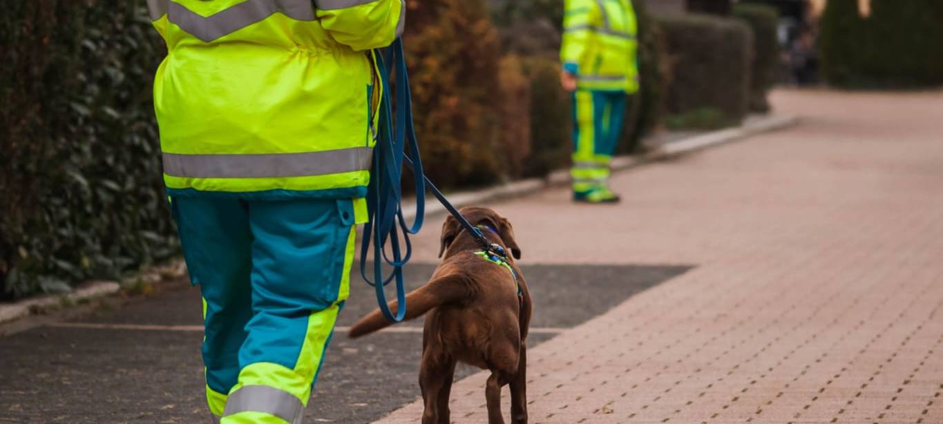 Die Rettungshundestaffel bildet nun neben den fünf Löschzügen die sechste Abteilung der Freiwilligen Feuerwehr in Lüdenscheid.