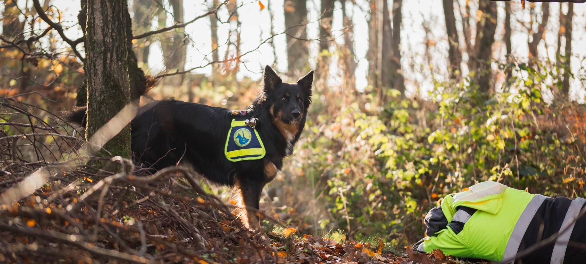 Rettungshundestaffel Freiwillige Feuerwehr Lüdenscheid
