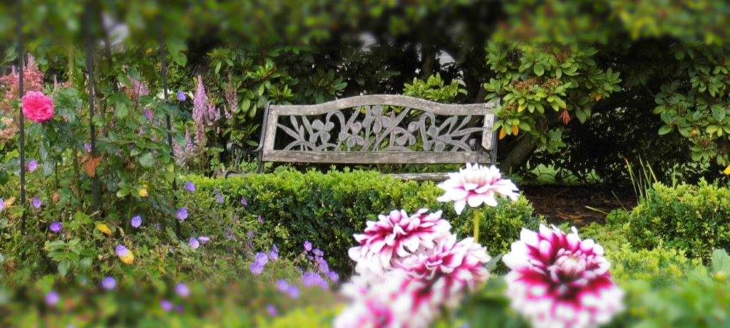 Gesucht: Besonders schöne Gärten aus dem Märkischen Kreis. Meldet euch jetzt an!