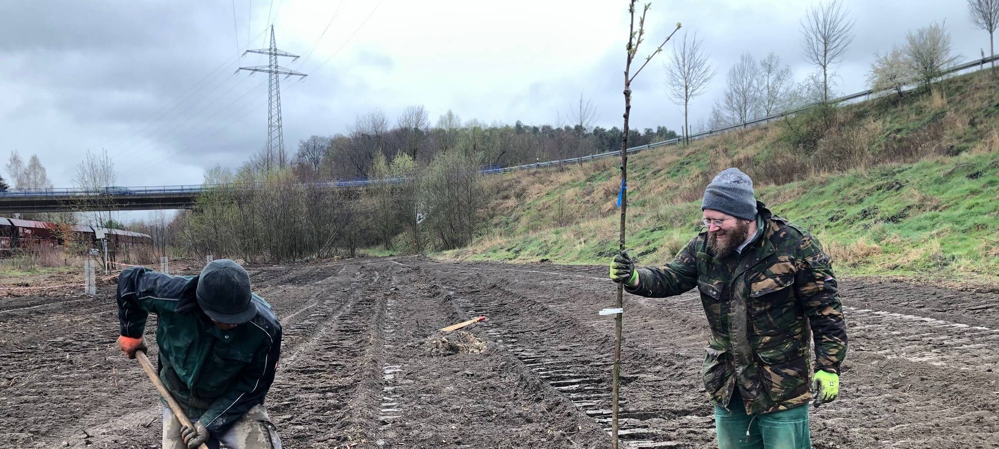 Streuobstwiese in Menden