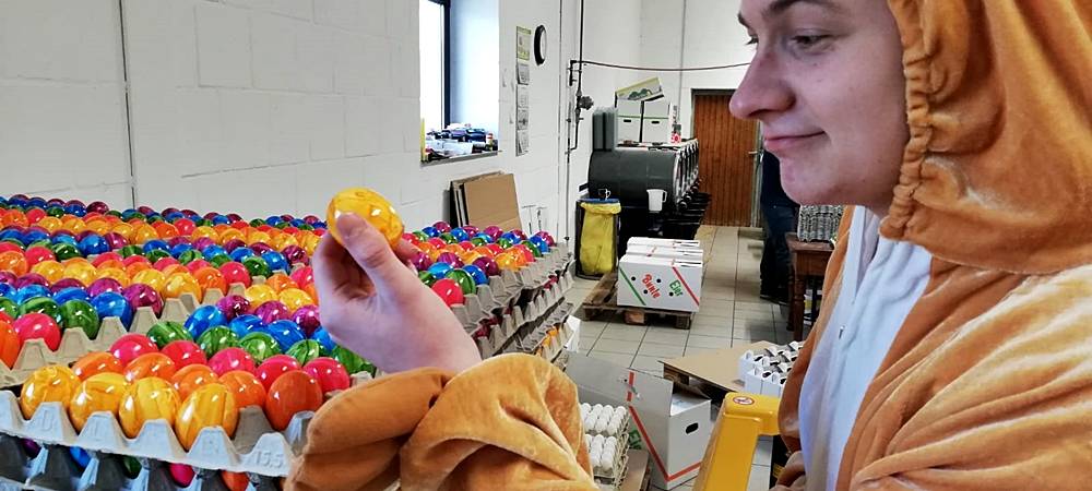 Gesucht: Der Radio MK-Osterhase - Hier wurde er gefunden