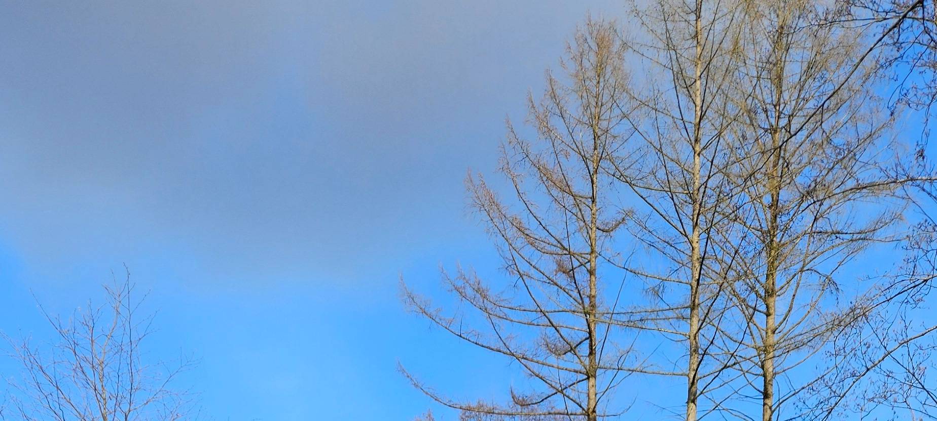 Ein neuer Trend: Eisbaden im Märkischen Kreis