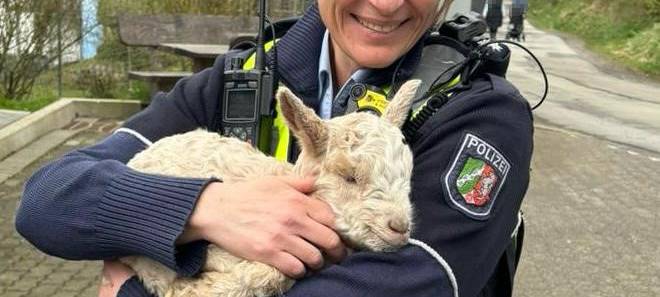 Polizistin mit gerettetem Lamm auf dem Arm