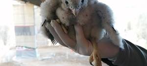 Die Gute Nachricht des Tages - Rückblick April